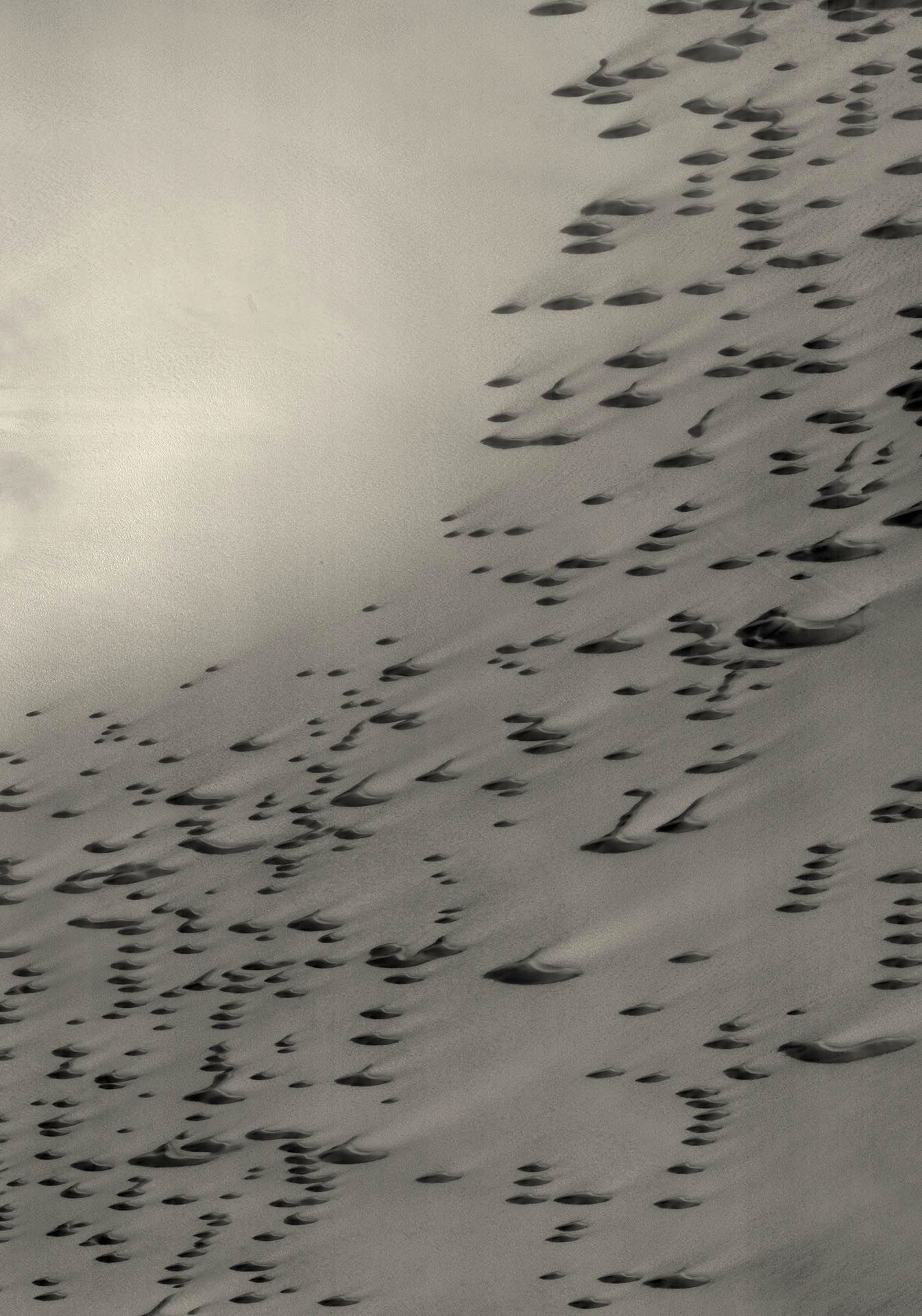 A photograph by Thomas Ruff, titled ma.r.s.06 I, dated 2012.