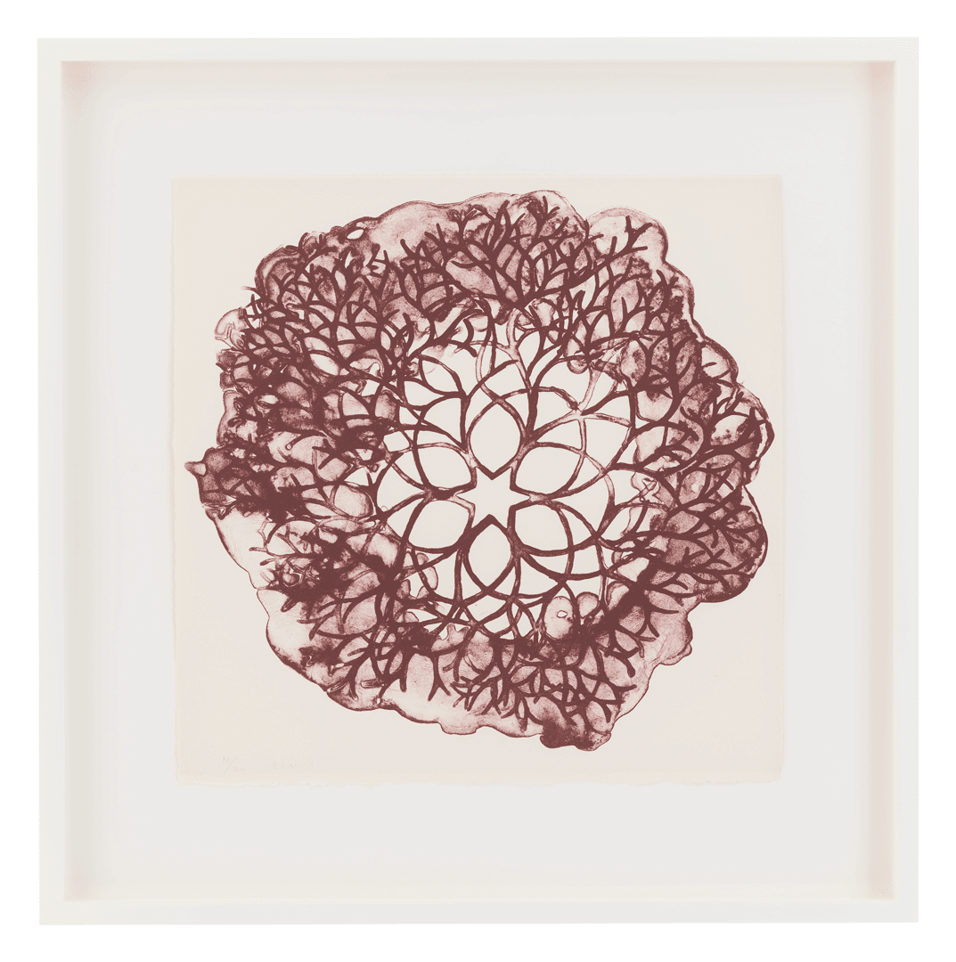 A lithograph on paper by Ruth Asawa, titled Desert Plant (TAM.1560, Tied-Wire Sculpture Drawing with Six-Pointed Star Center), dated 1965.