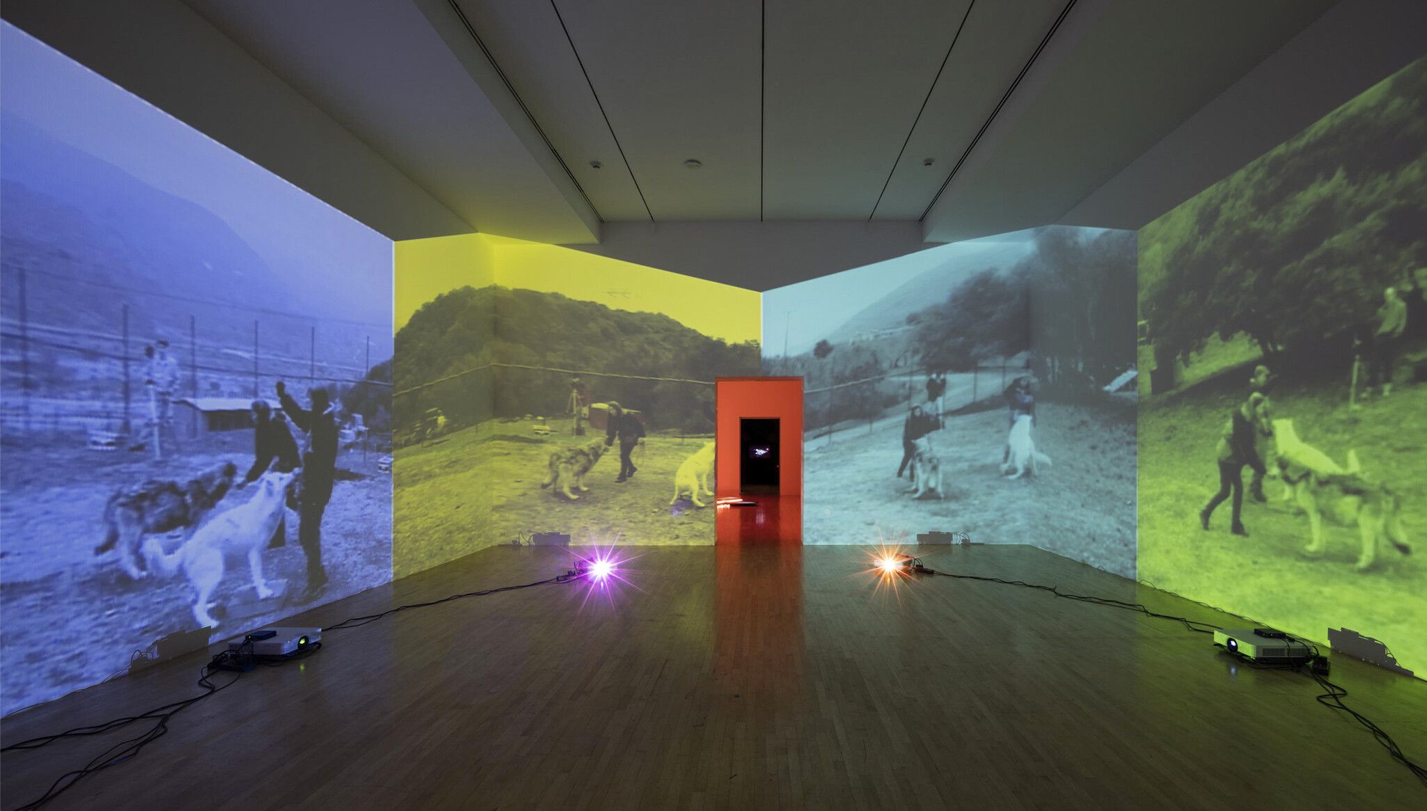 Installation view of Diana Thater’s China, on view in Diana Thater: The Sympathetic Imagination, Los Angeles County Museum of Art, 2015
