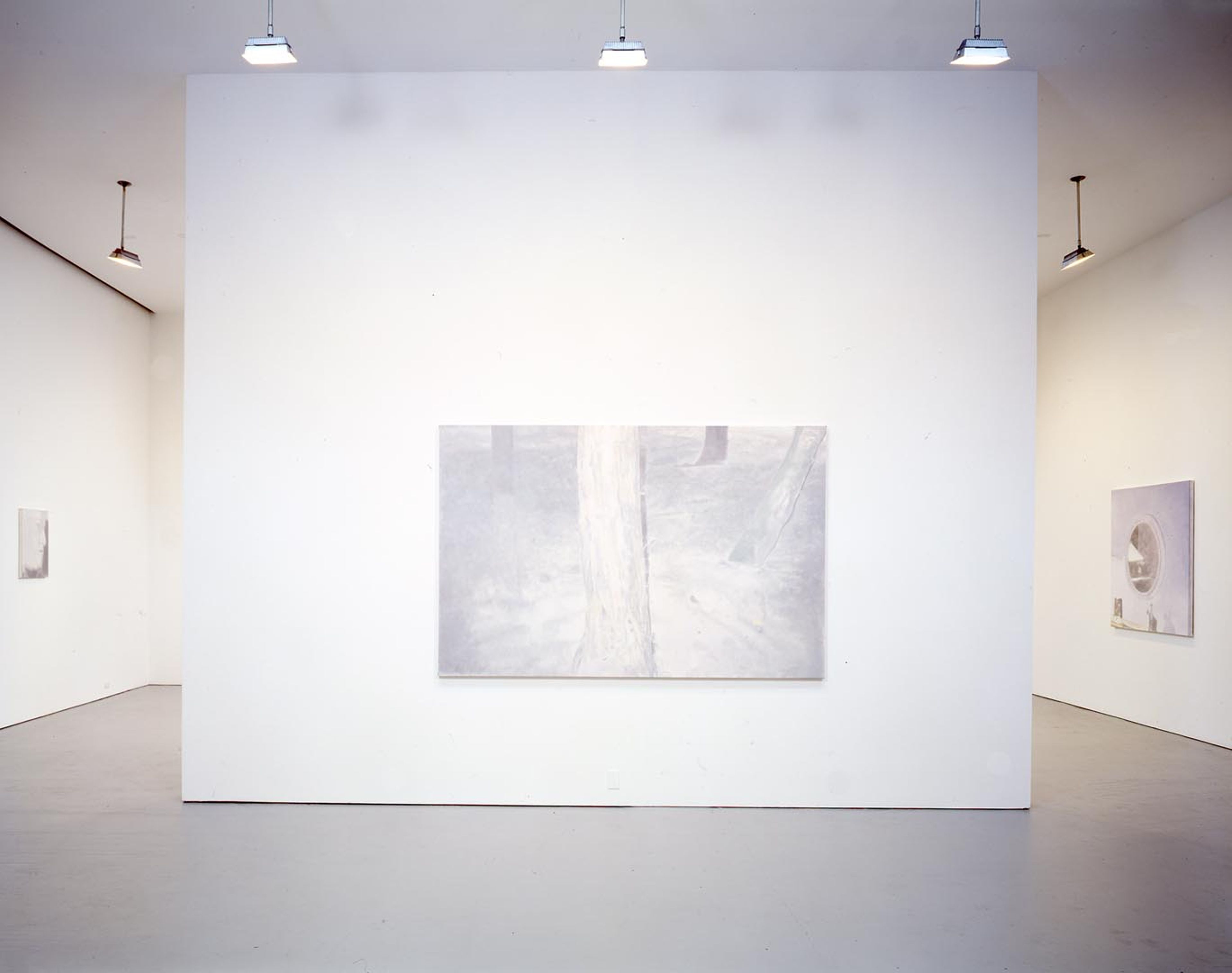 An installation view of the exhibition Luc Tuymans: Proper, at David Zwirner New York, dated 2005.