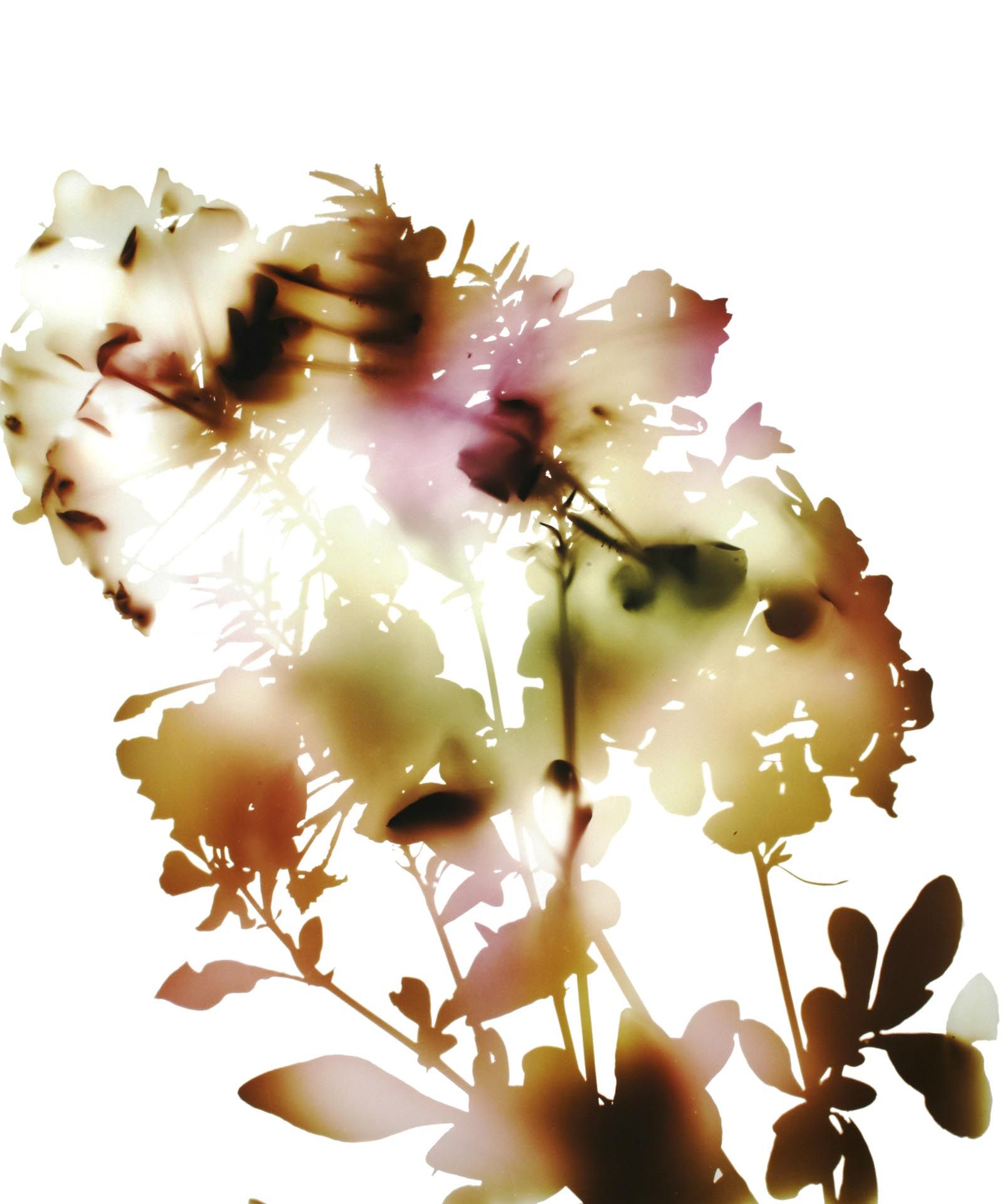 A photograph by James Welling, titled 026, dated 2006. 
