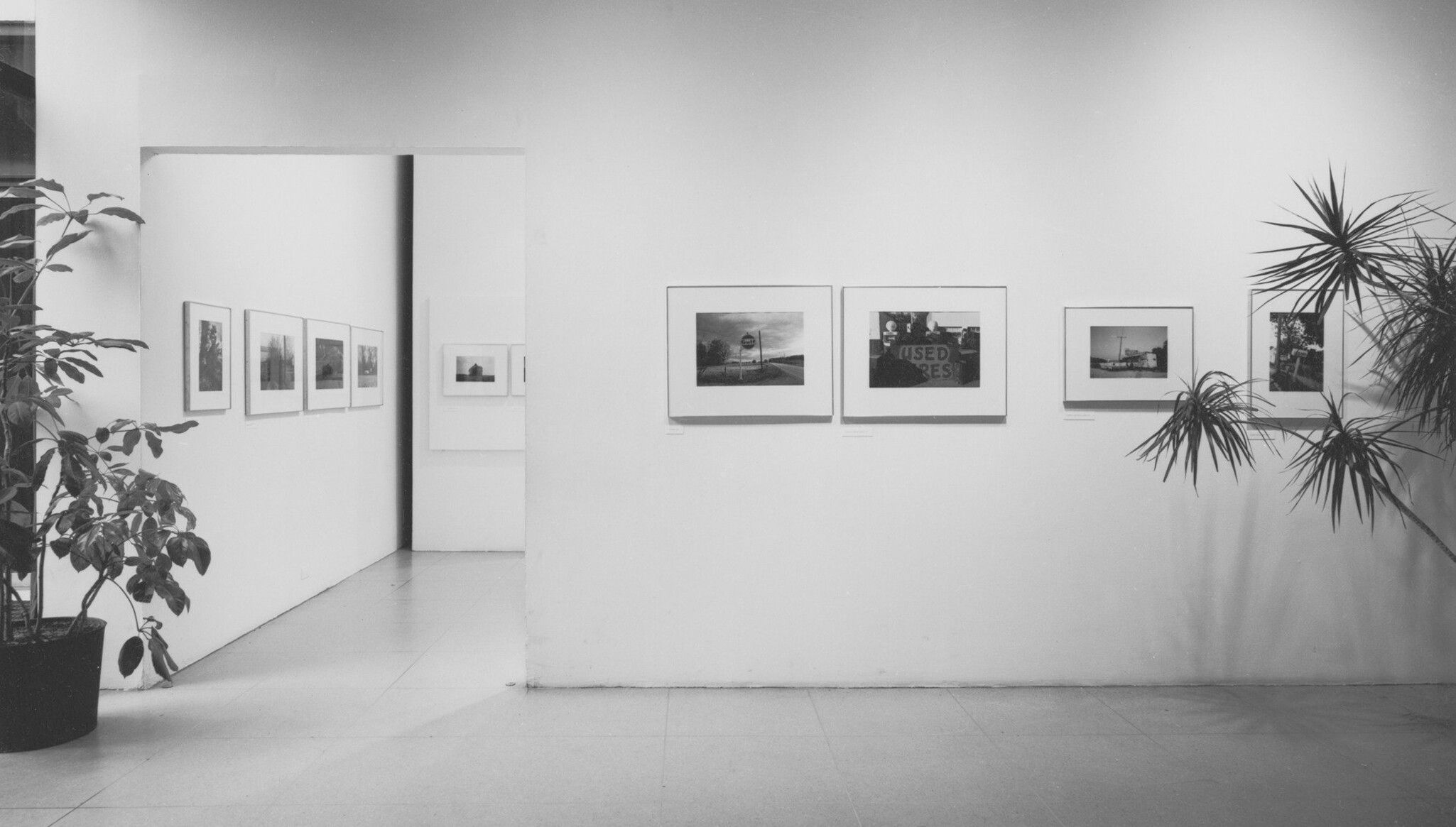 An installation view of the exhibition Photographs by William Eggleston, at The Museum of Modern Art in New York, 1976