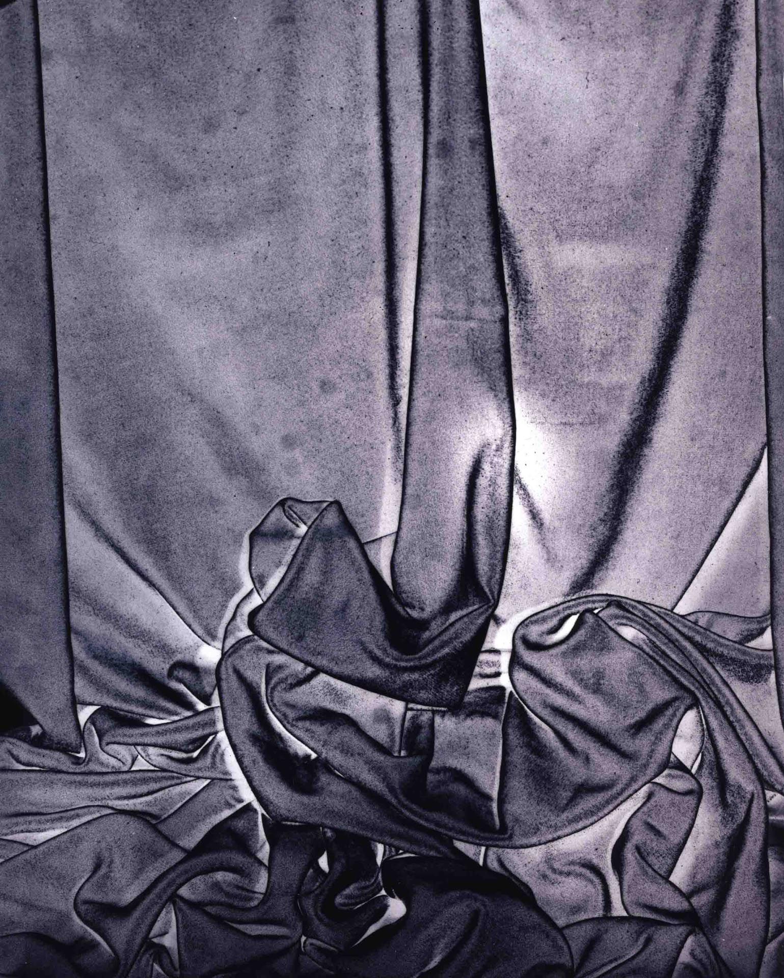 A photograph by James Welling, titled Dickinson, dated 2006. 