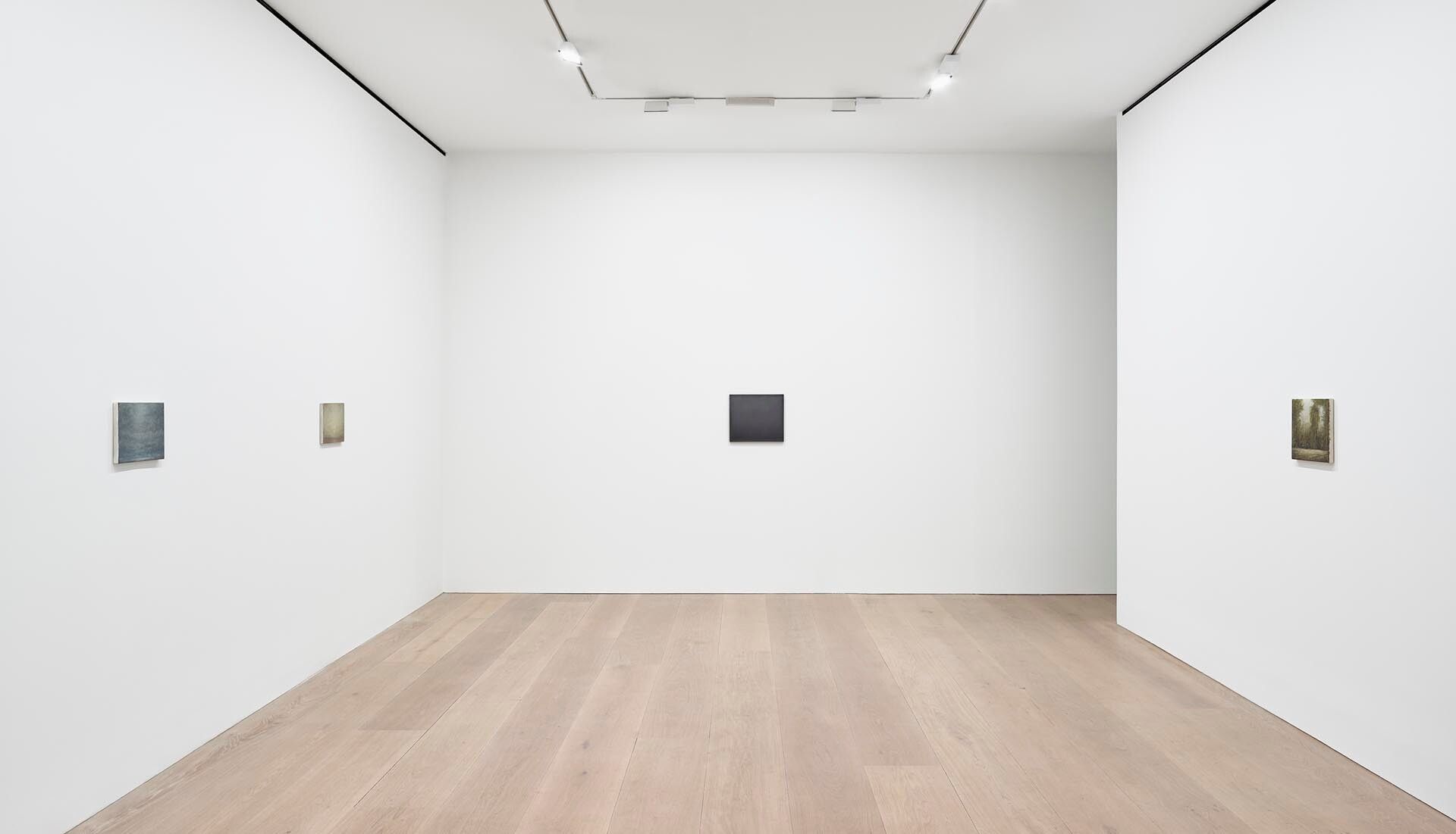 Installation view of the exhibition Lucas Arruda, at David Zwirner in London, dated 2017.