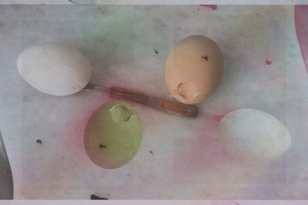 Wolfgang Tillmans: Today Is The First Day | David Zwirner