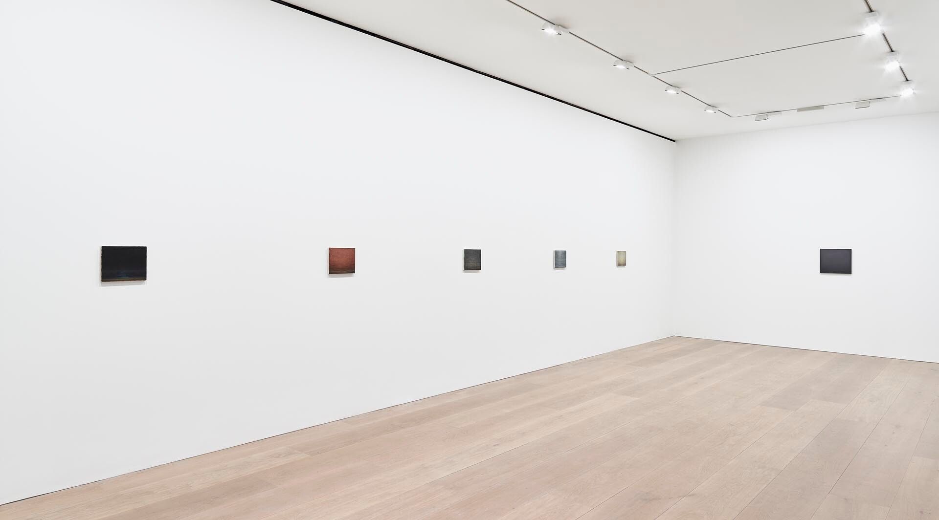 Installation view of the exhibition Lucas Arruda, at David Zwirner in London, dated 2017.