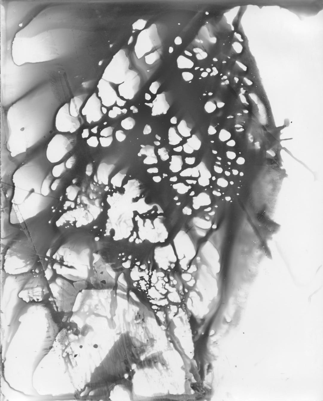 A photograph by James Welling, titled Chemical, dated 2018.