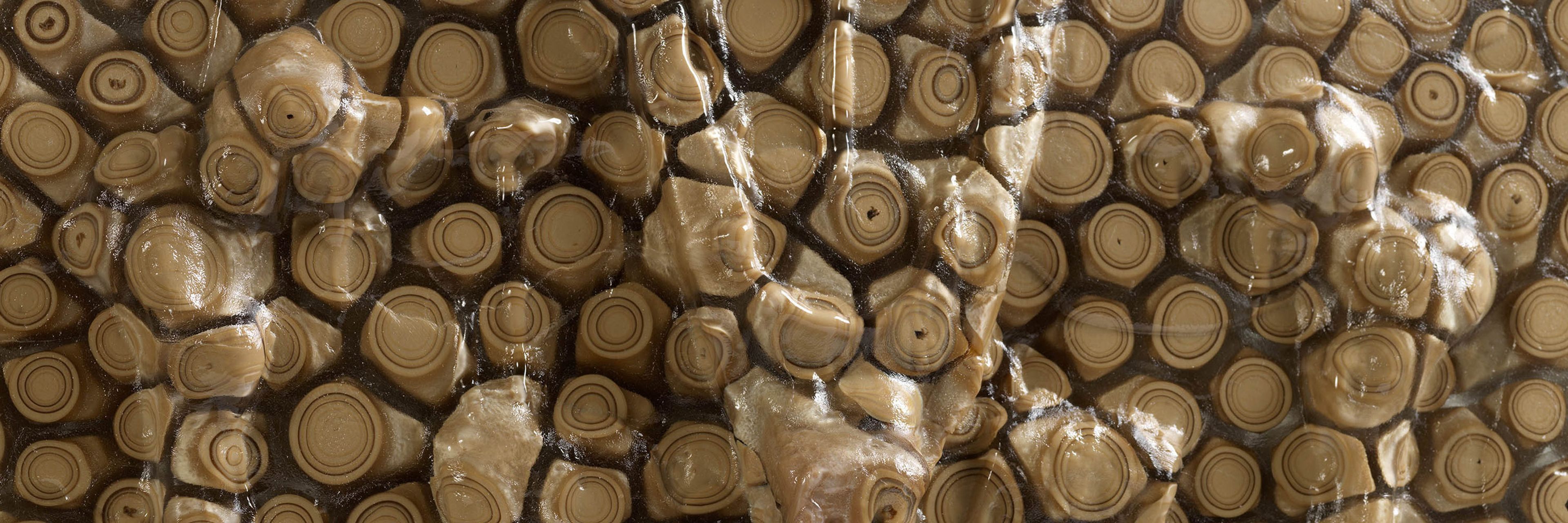 A detail from the work titled Private Dancer (Foreskin Mince) by Andra Ursuţa dated 2025