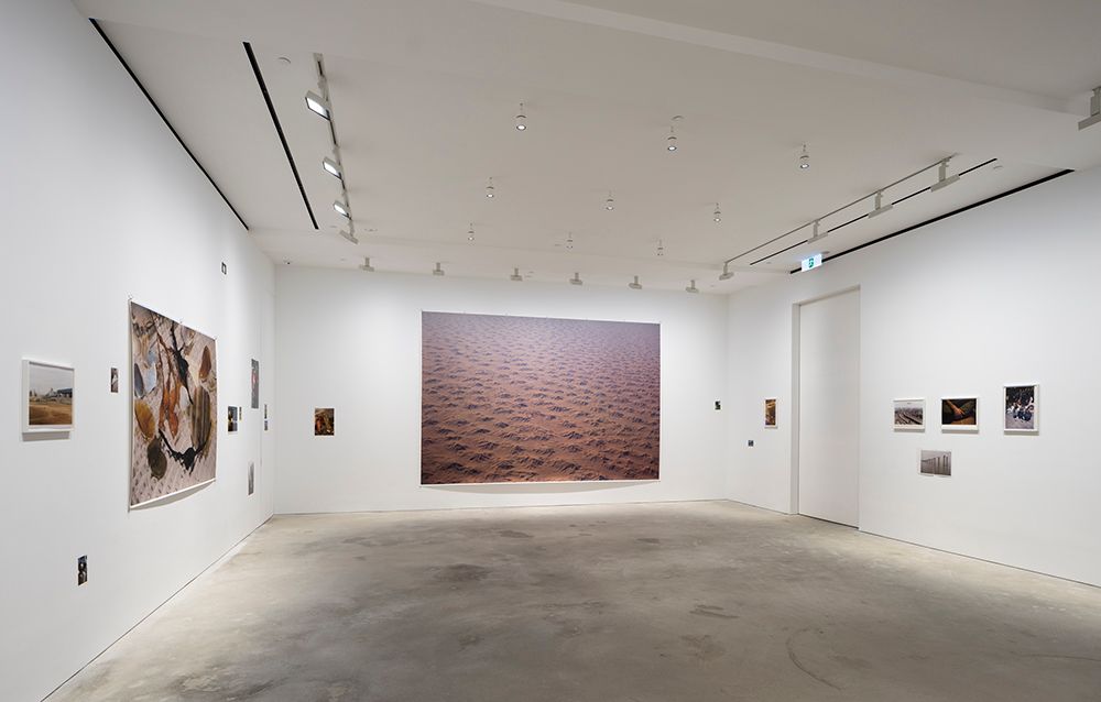 アート・デザイン・音楽 Wolfgang Tillmans BurgTruth StudyCenter Harvard Art Museums - Wolfgang Tillmans's 19-part