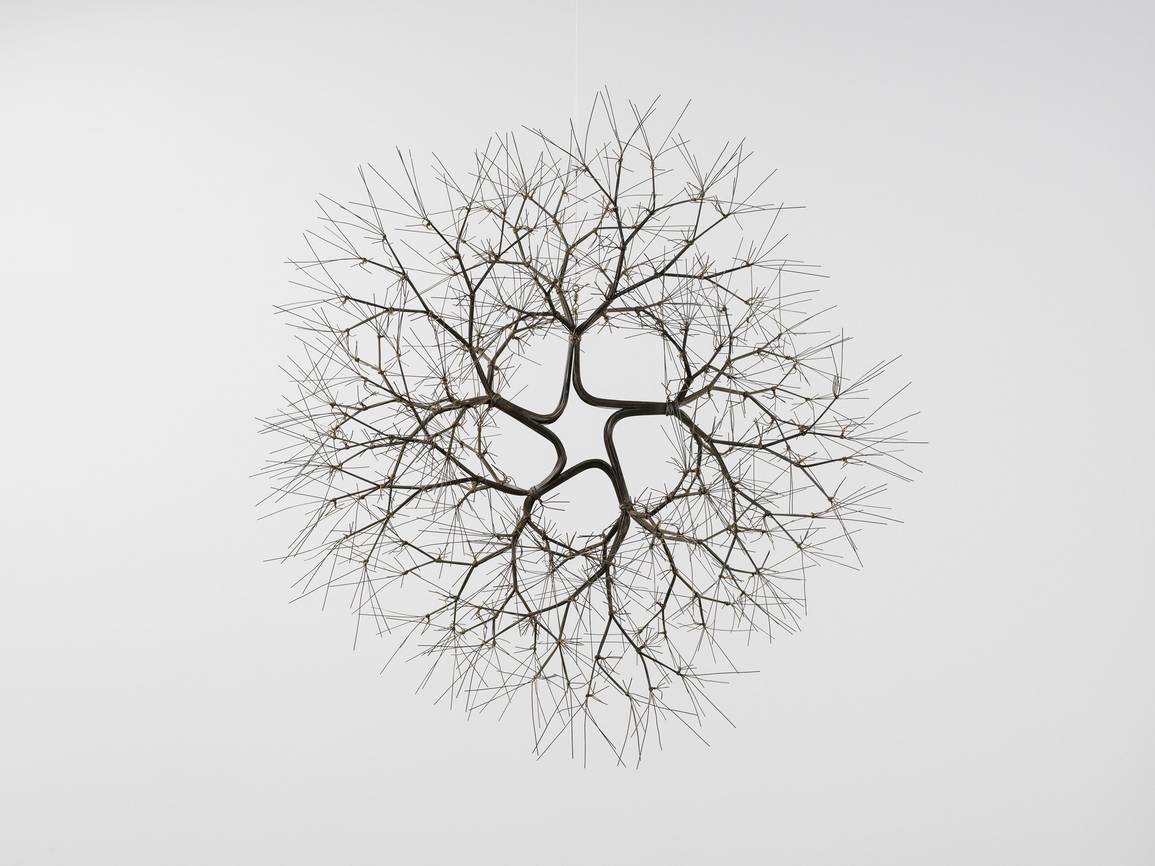 A sculpture by Ruth Asawa, called Untitled (S.452, Hanging Tied-Wire, Five Branched Form Based on Nature), dated circa 1965.