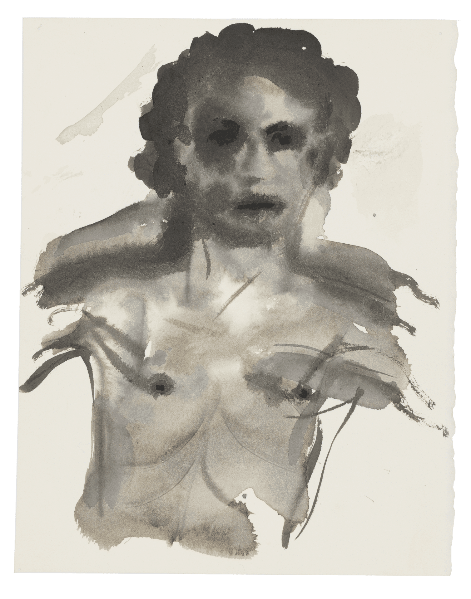 A drawing by Marlene Dumas, titled The young mortal Adonis, dated 2015 to 2016.