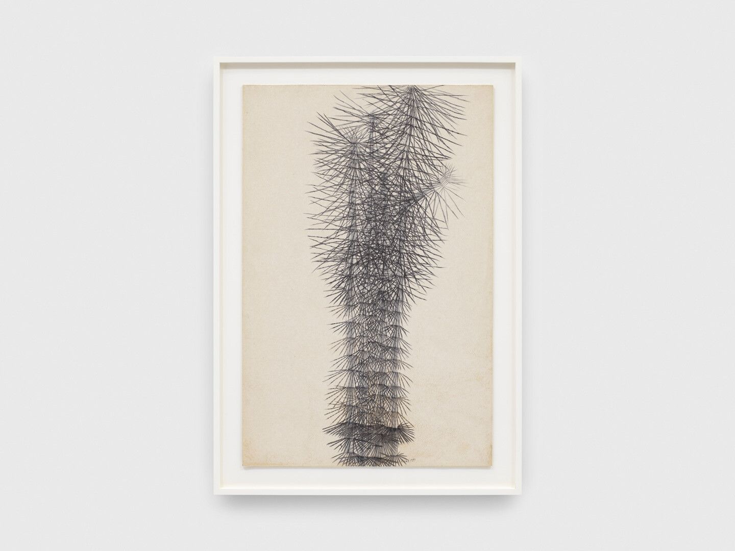 An ink drawing on rice paper on board by Ruth Asawa, titled Untitled (PF.1015, Horsetail), dated 1961.