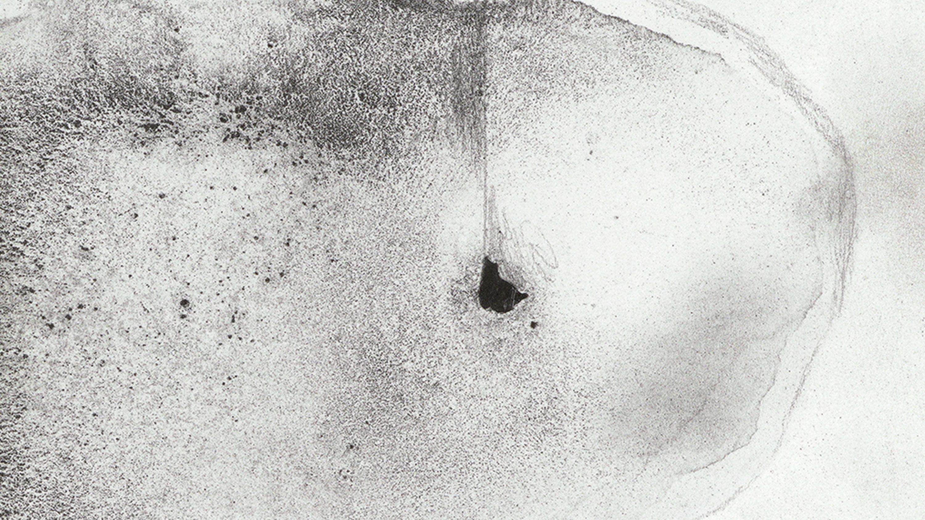 Detail of Gerhard Richter's PAMUL print