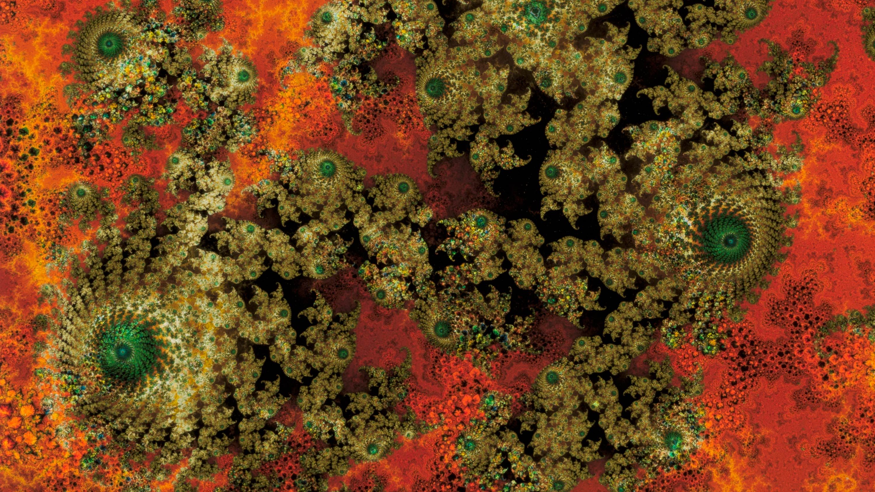 Detail of a Thomas Ruff print, titled d.o.pe, dated 2023