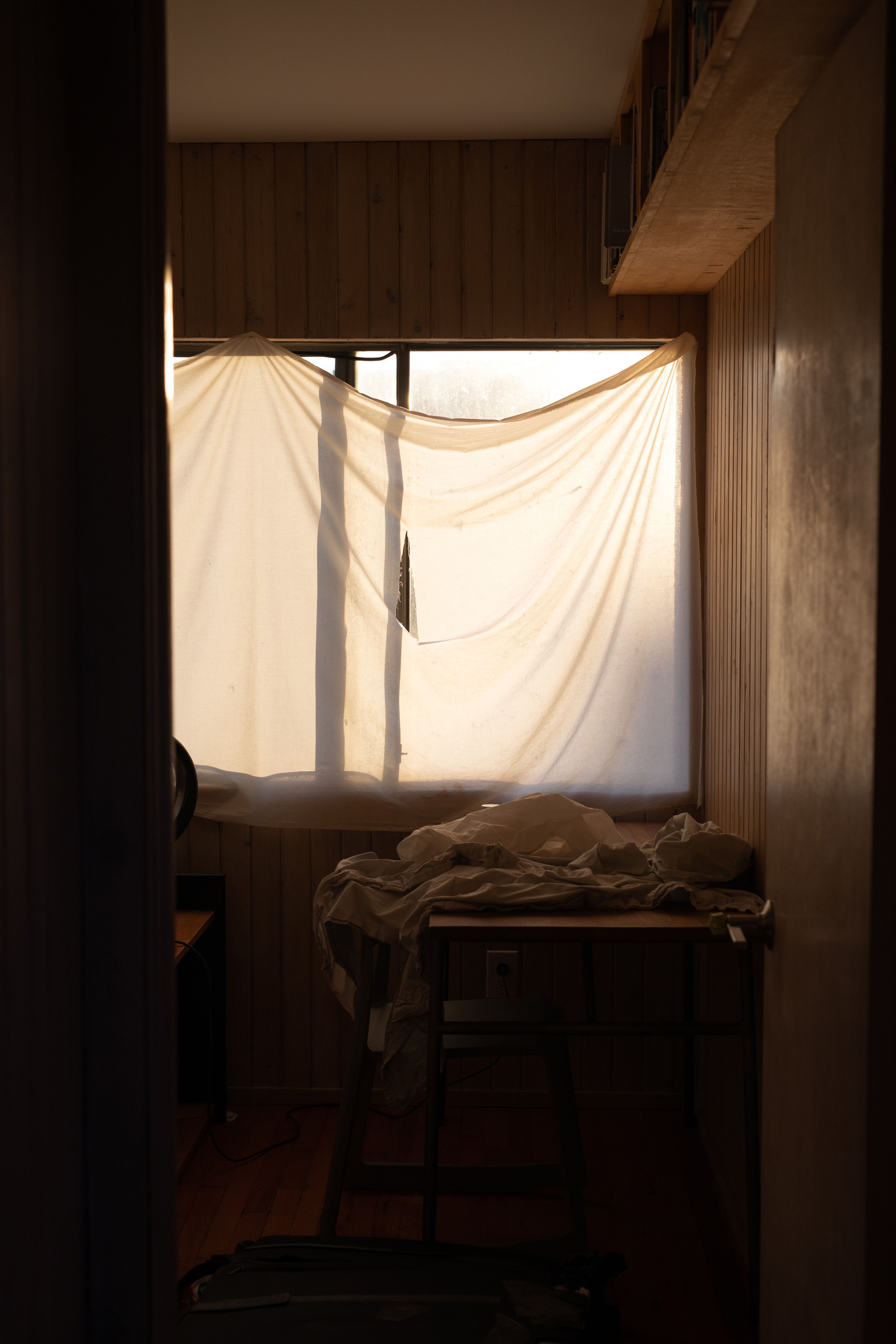 A photograph by Wolfgang Tillmans, titled In The Morning Light, dated 2022.