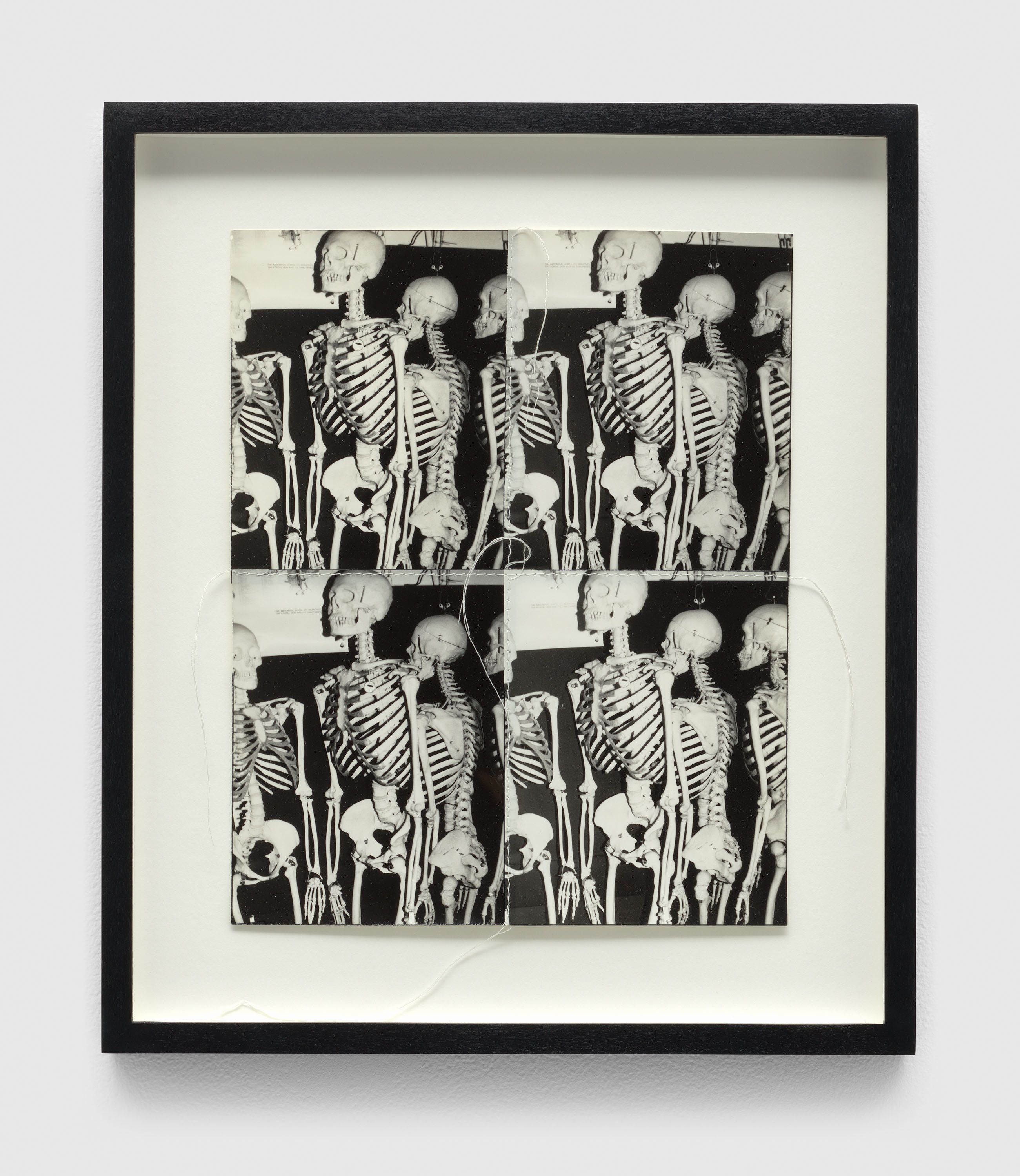 A photograph by Andy Warhol, titled Photo Edition for Parkett, dated 1987.