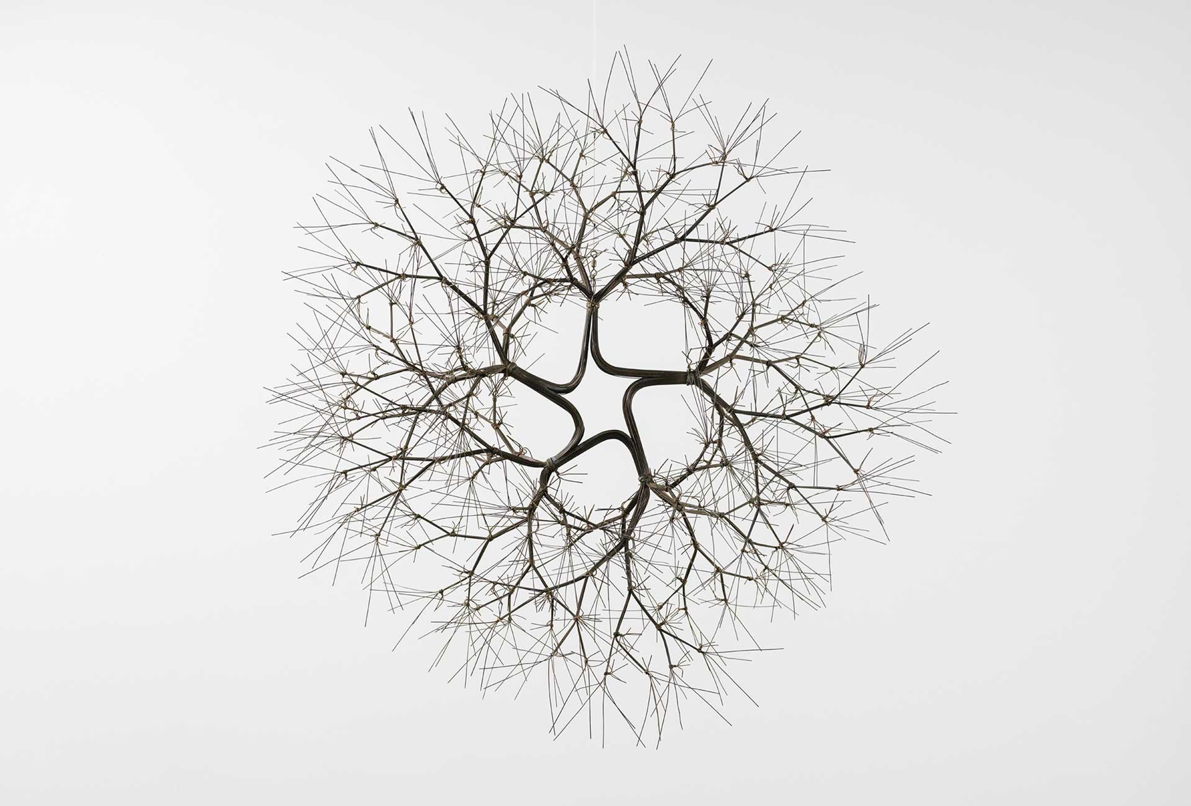 A wall-hanging wire sculpture by Ruth Asawa, titled Untitled (S.452, Hanging Tied-Wire, Five Branched Form Based on Nature), circa 1965.