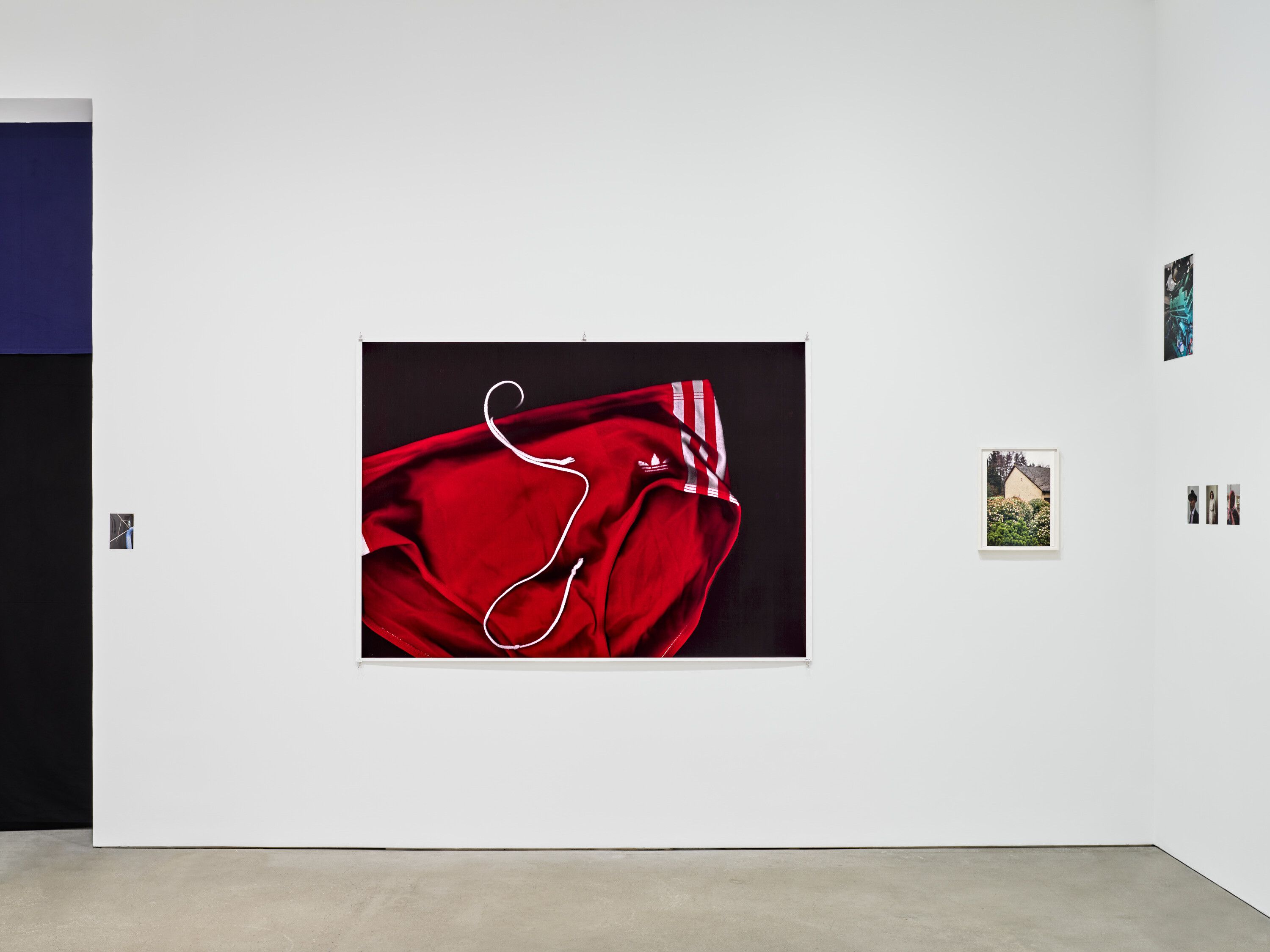 An installation view of wolfgang tillmans the point is matter david zwirner hong kong dated 2024