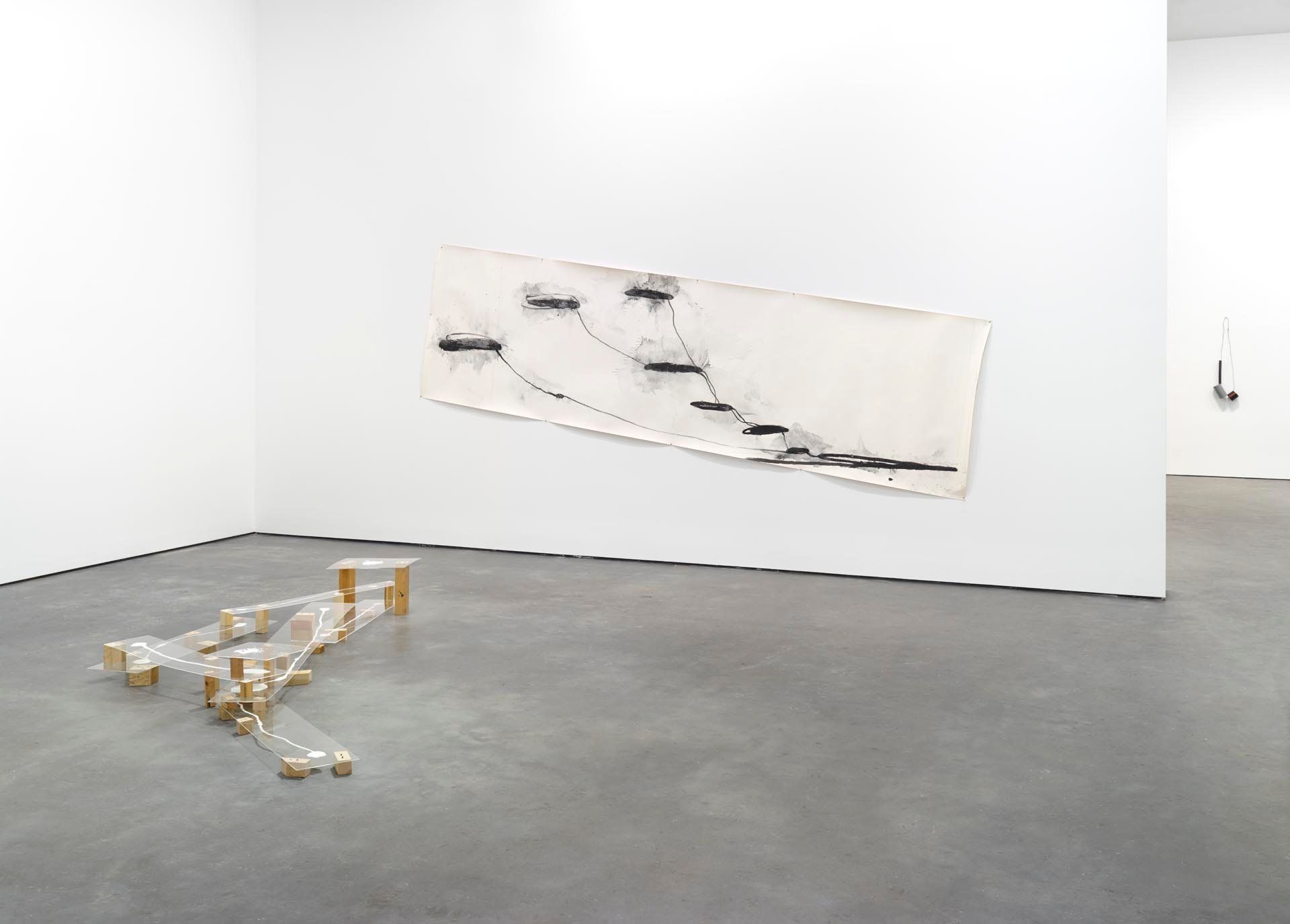 Installation view of the exhibition Al Taylor: Pet Stains, Puddles, and Full Gospel Neckless at David Zwirner in New York, dated 2015.