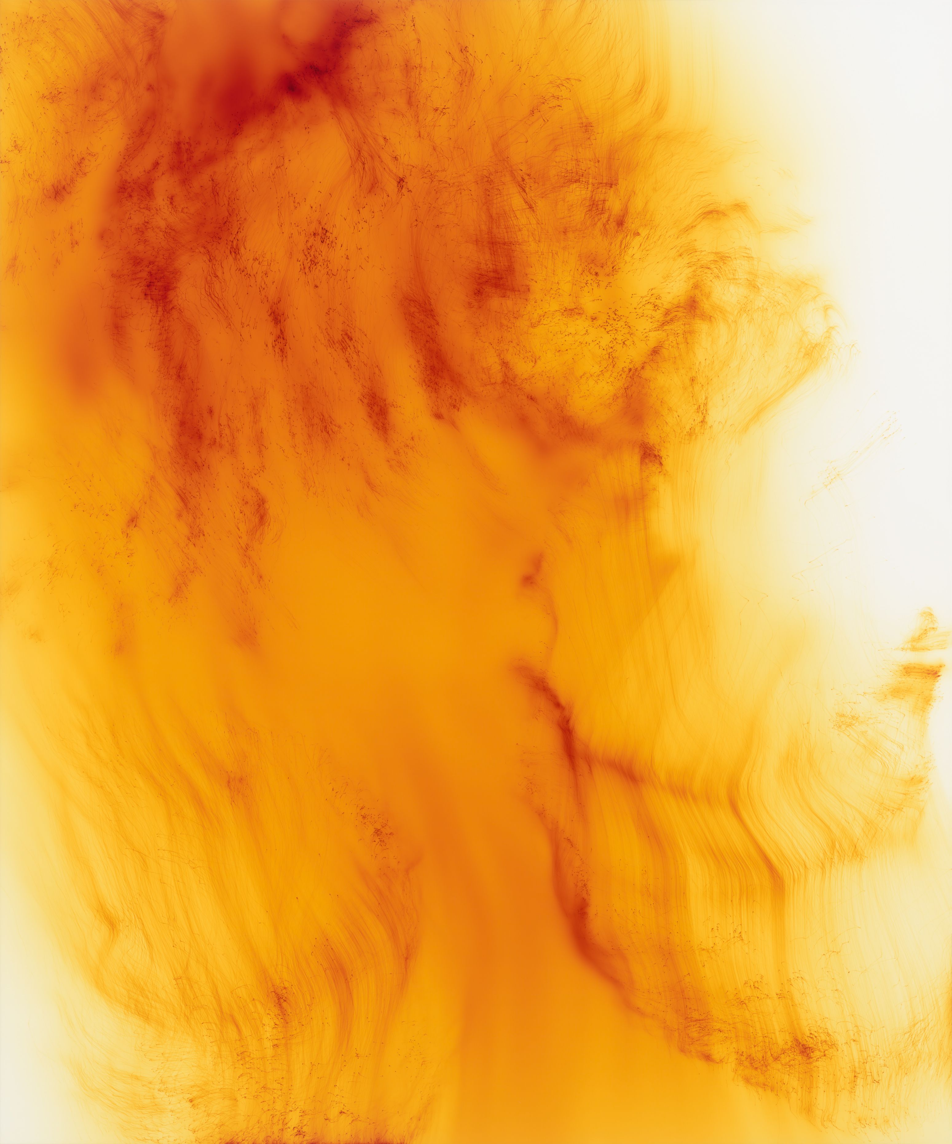Wolfgang Tillmans: Freischwimmer 240, 2024 | David Zwirner