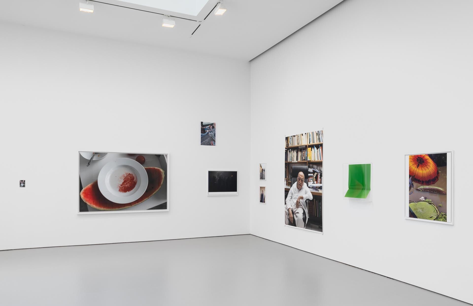 An installation of photographs by Wolfgang Tillmans, titled New York installation PCR, 533 NE, dated 2015.