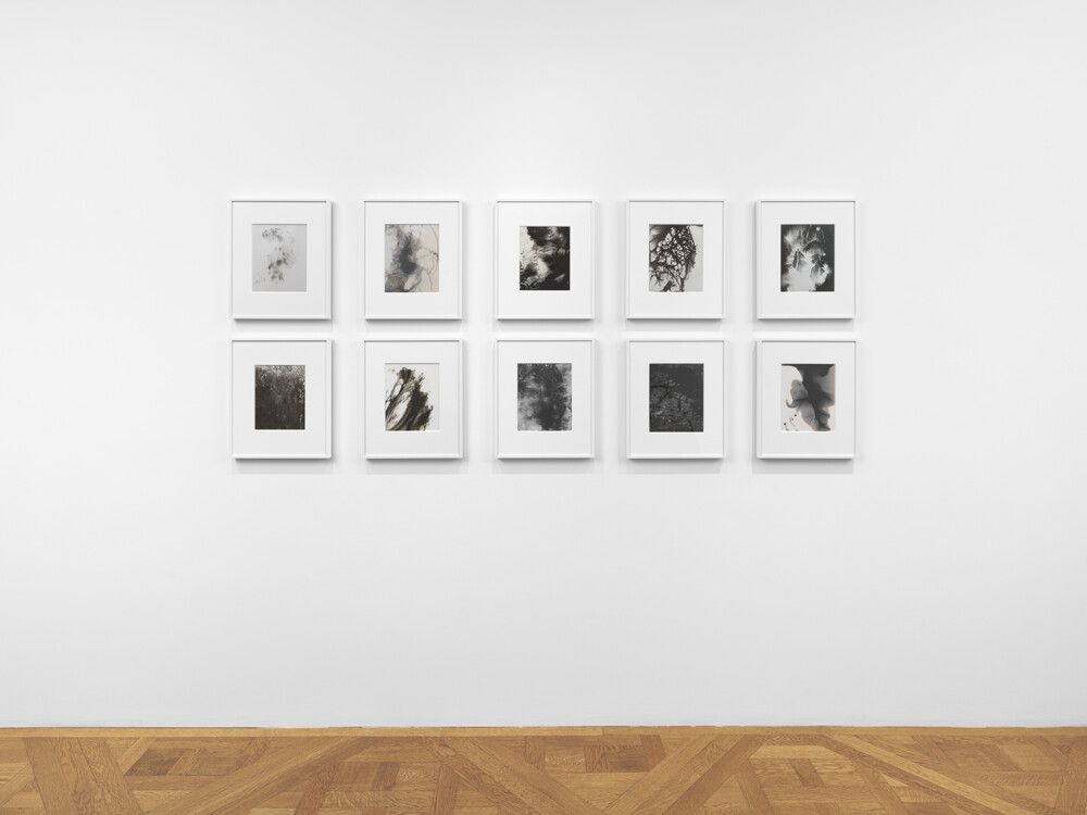 Installation view of the exhibition James Welling: Transform at David Zwirner, New York, in 2018.