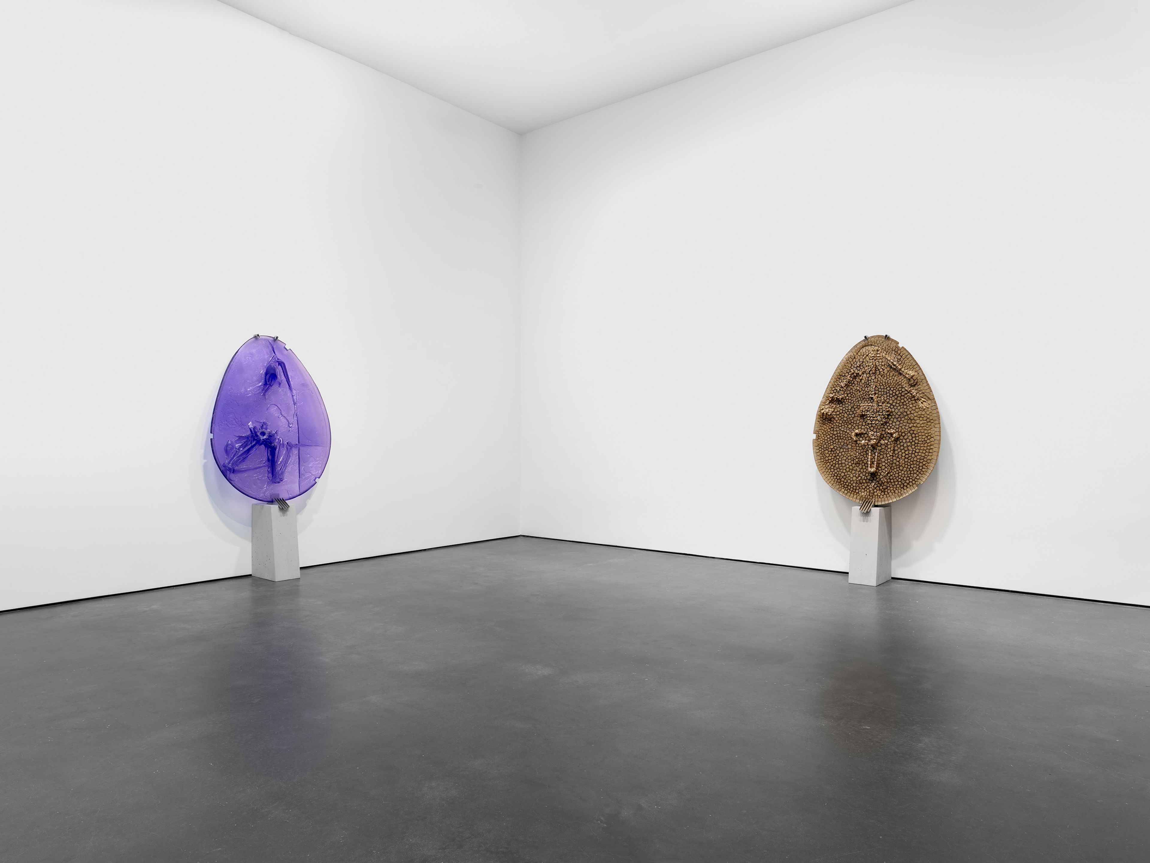 An installation view of the exhibition, Andra Ursuta: Retina Turner, at David Zwirner in New York, dated 2025.