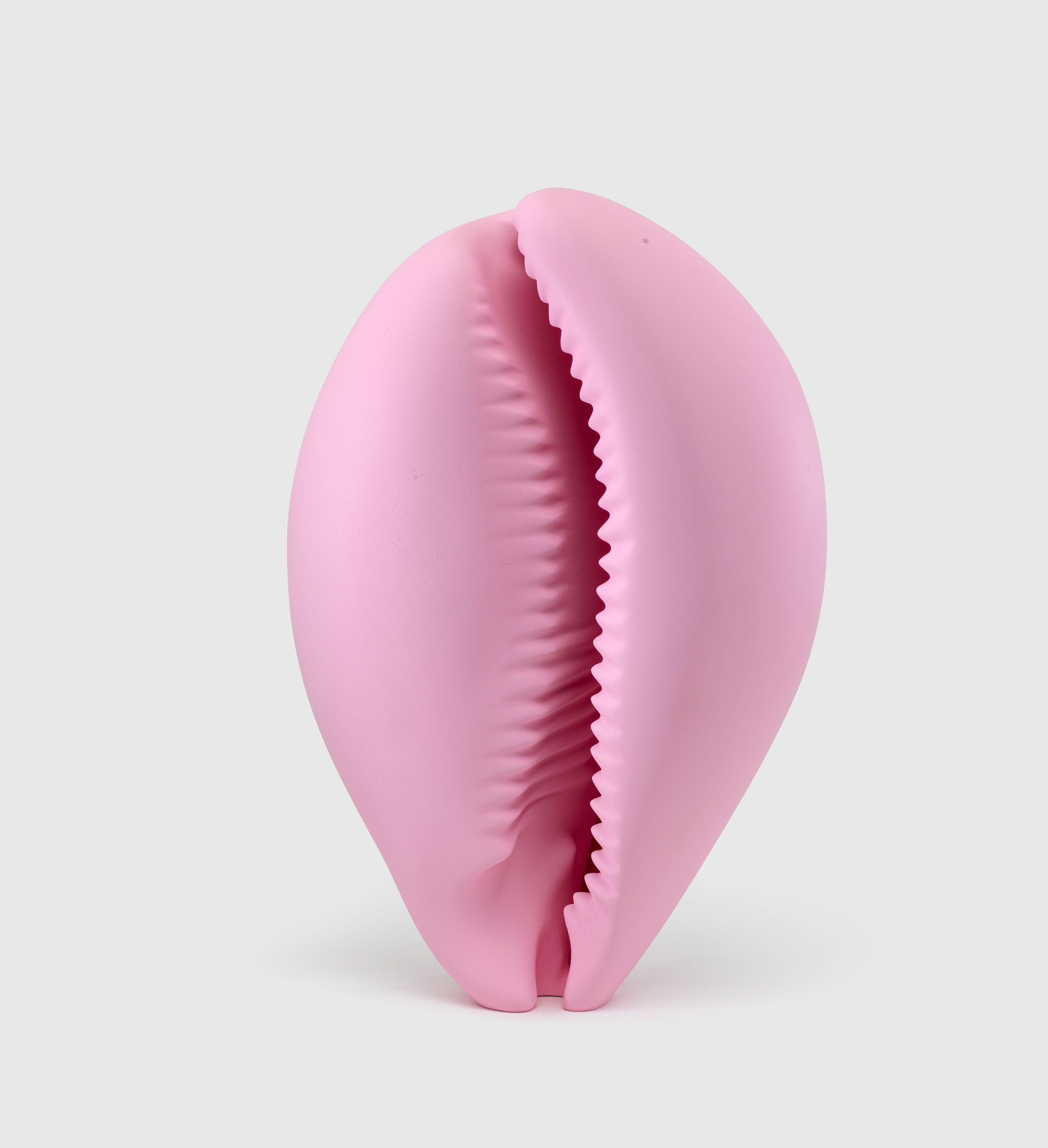 A sculpture by Katharina Fritsch, titled Muschel (Shell), dated 2013.
