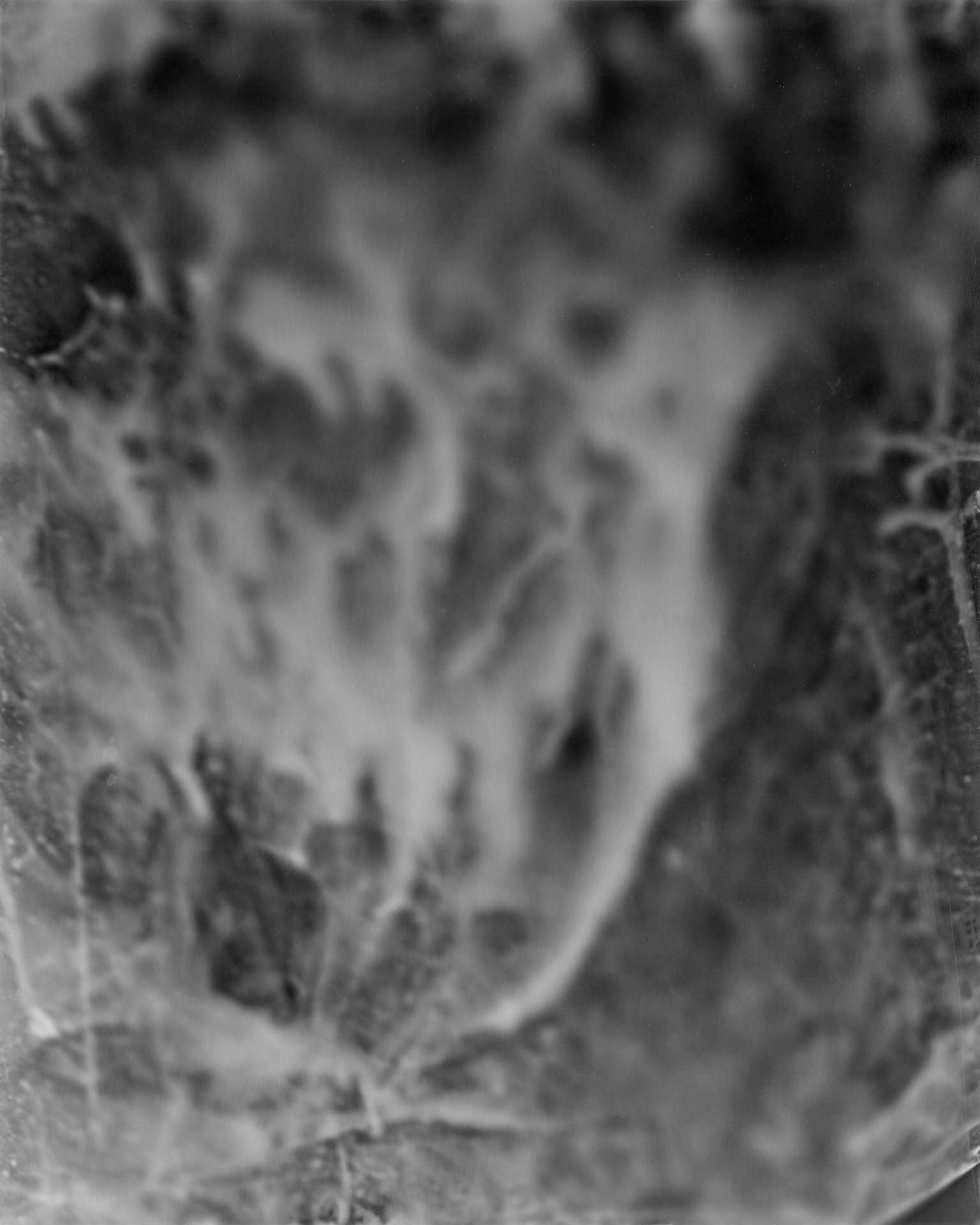 A photograph by James Welling, titled Frolic Architecture 24, dated 2010. 