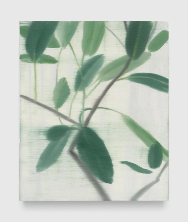Yu Nishimura — Rubber Tree