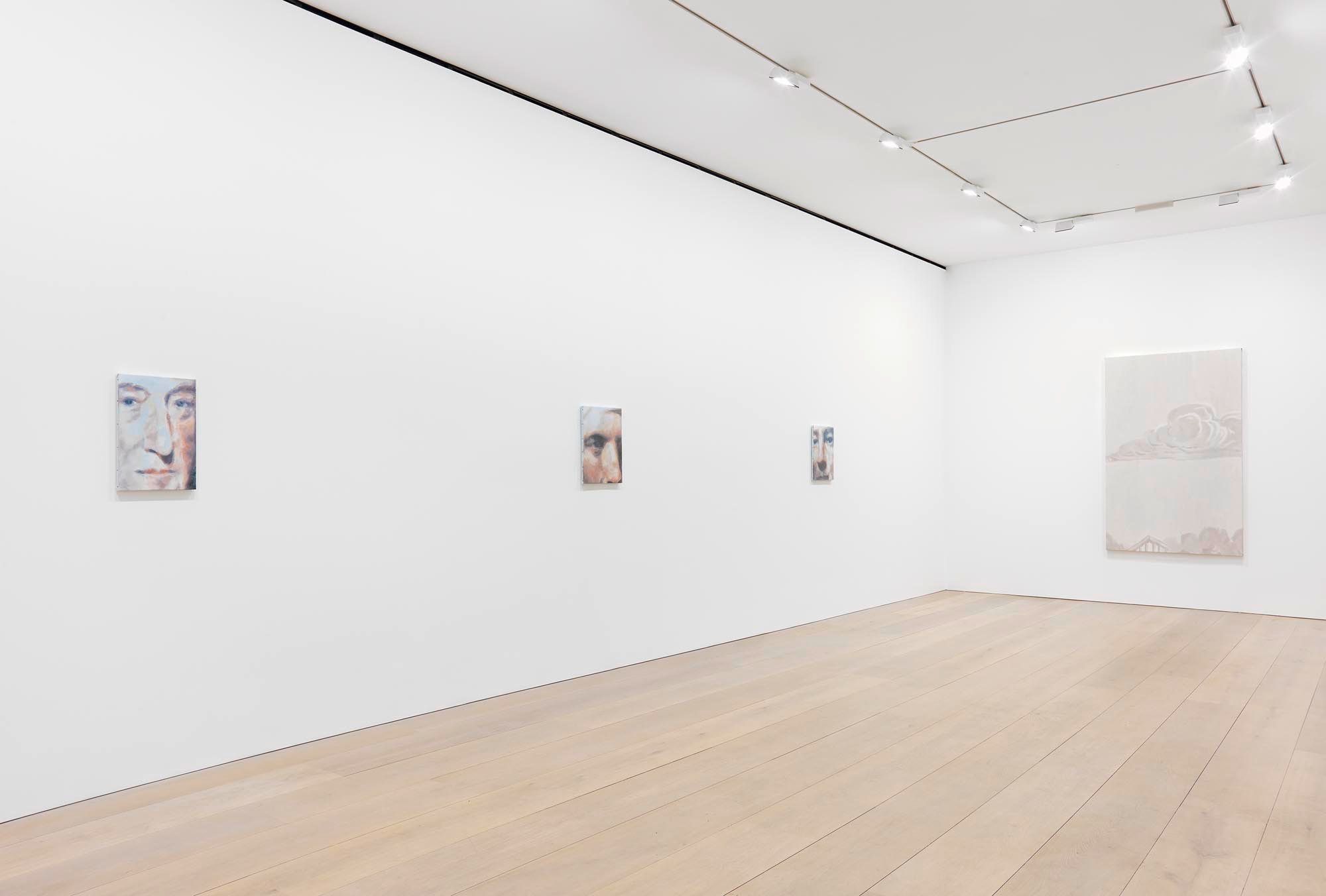 Installation view of the exhibition Luc Tuymans: The Shore, at David Zwirner in London, dated 2015.