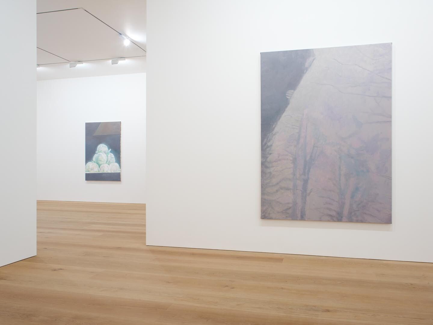 Installation view of the exhibition Luc Tuymans: Allo!, at David Zwirner in London, dated 2012.