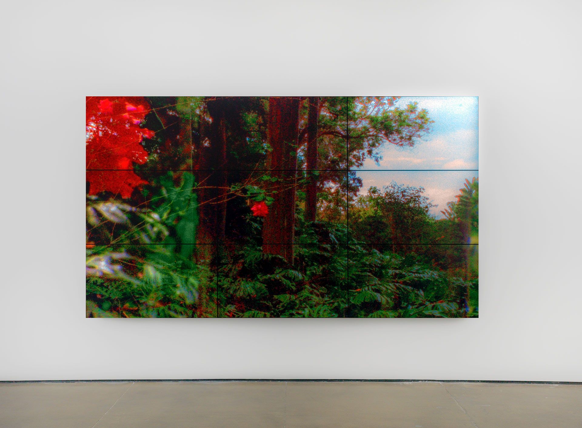 A video installation by Diana Thater, titled The Road to Hana Two, dated 2014.