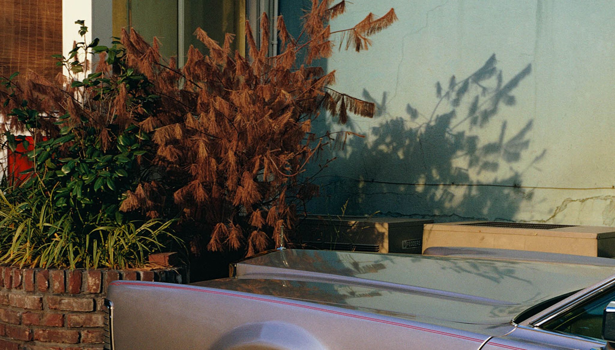 A detail of an untitled photograph by William Eggleston, dated 1970-1973.