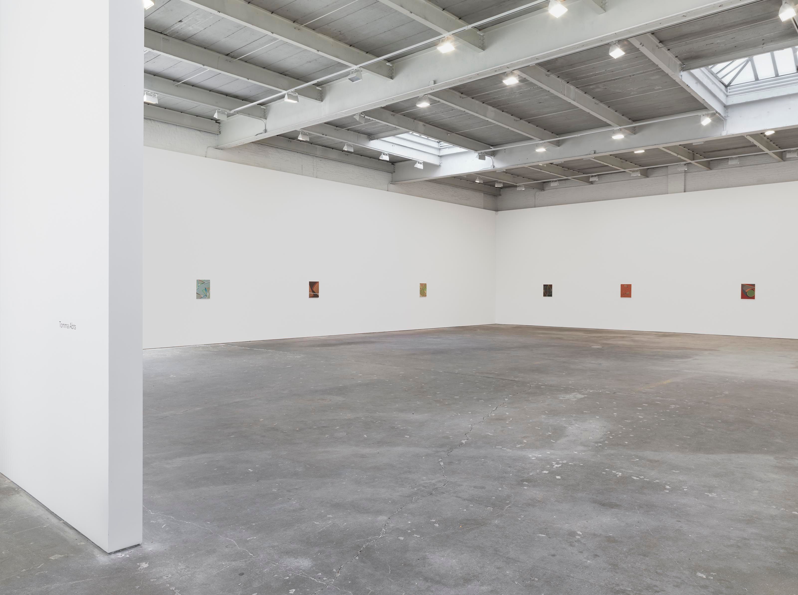 An installation view of the exhibition Tomma Abts, at David Zwirner New York, dated 2014.