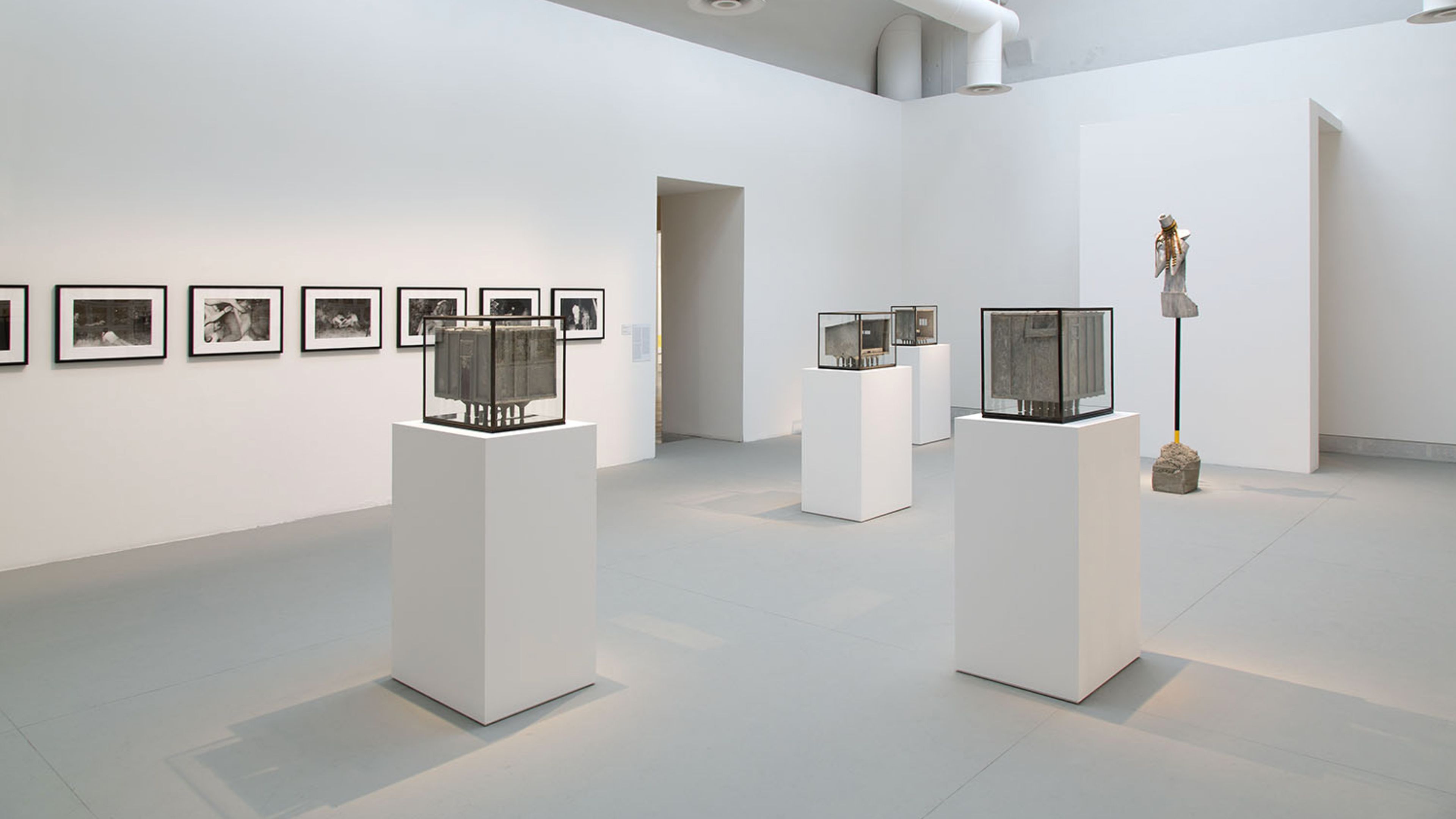 Installation view, Andra Ursuta: The Encyclopedic Palace, at the 55th Venice Biennale, dated 2013.