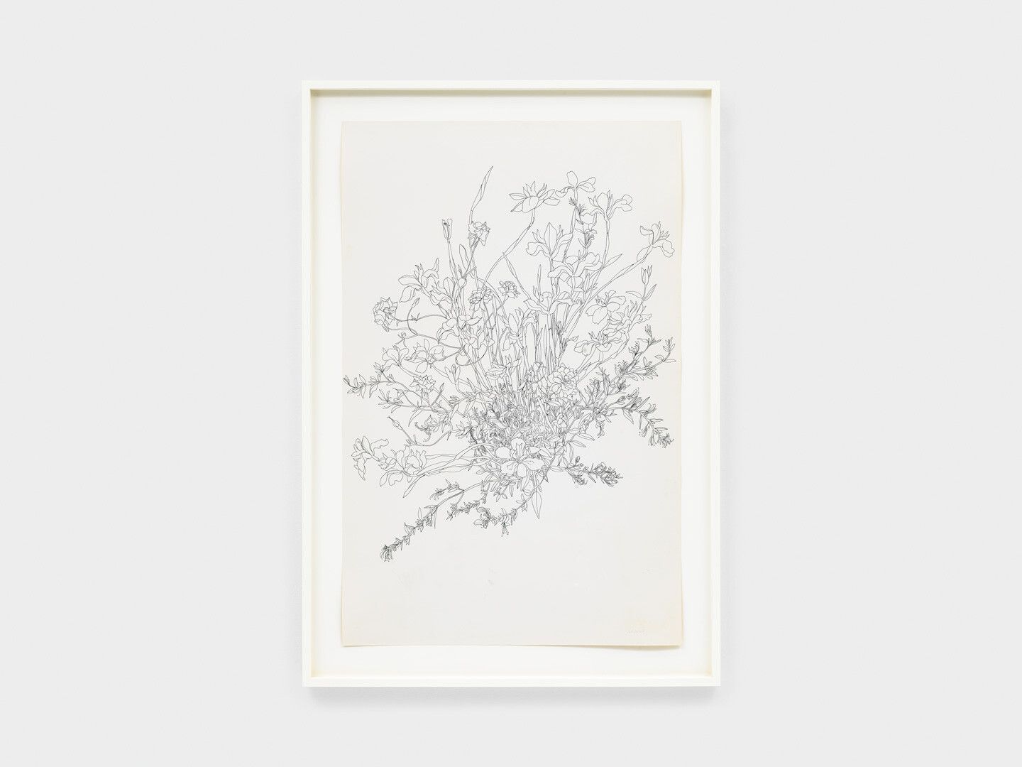 An ink drawing on paper by Ruth Asawa, titled Untitled (PF.891, Bouquet of Fortnight Lilies, Teucrium, and Roses), circa 1994.