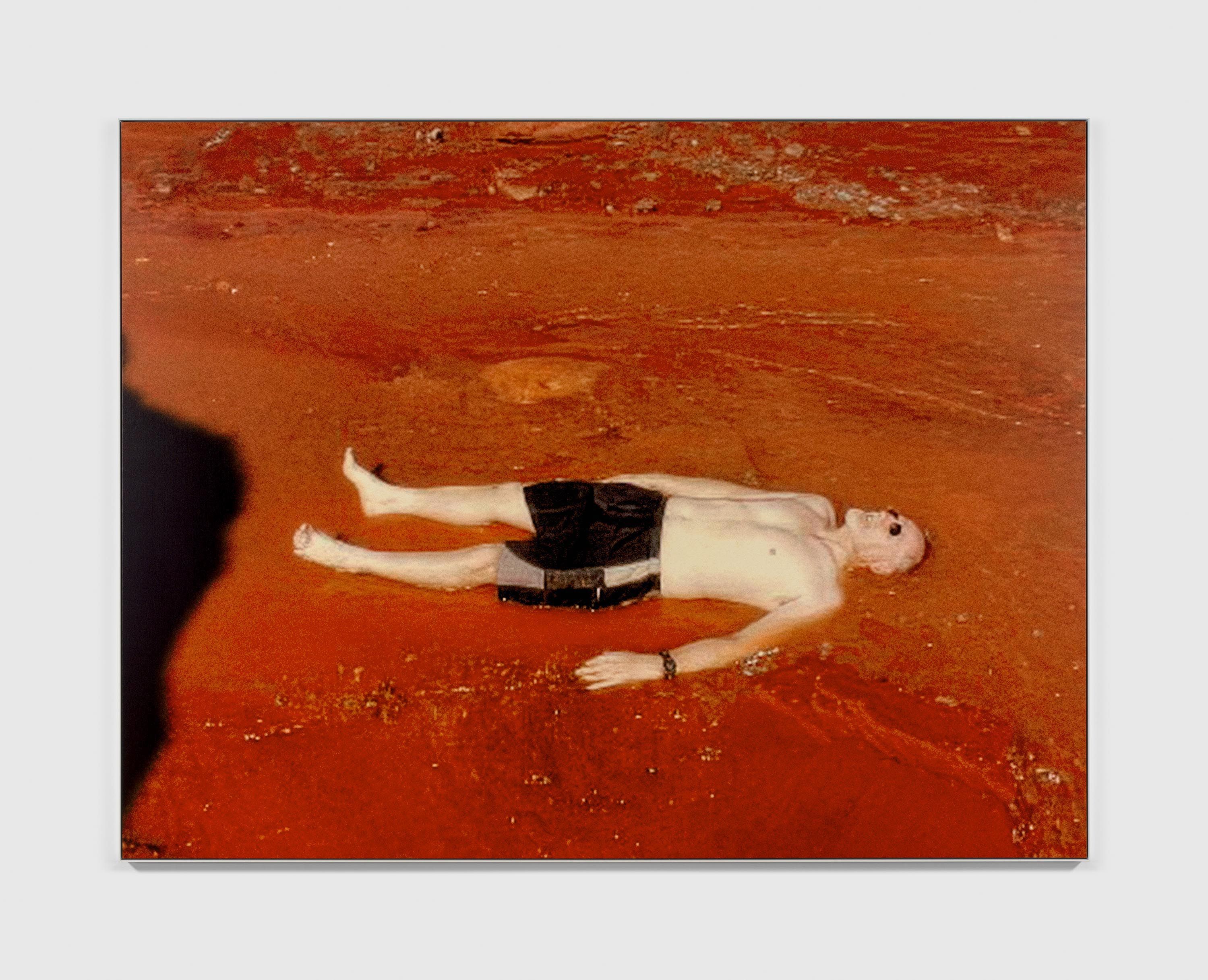 A photograph by Steven Shearer, titled Terrestrial, dated 2024.