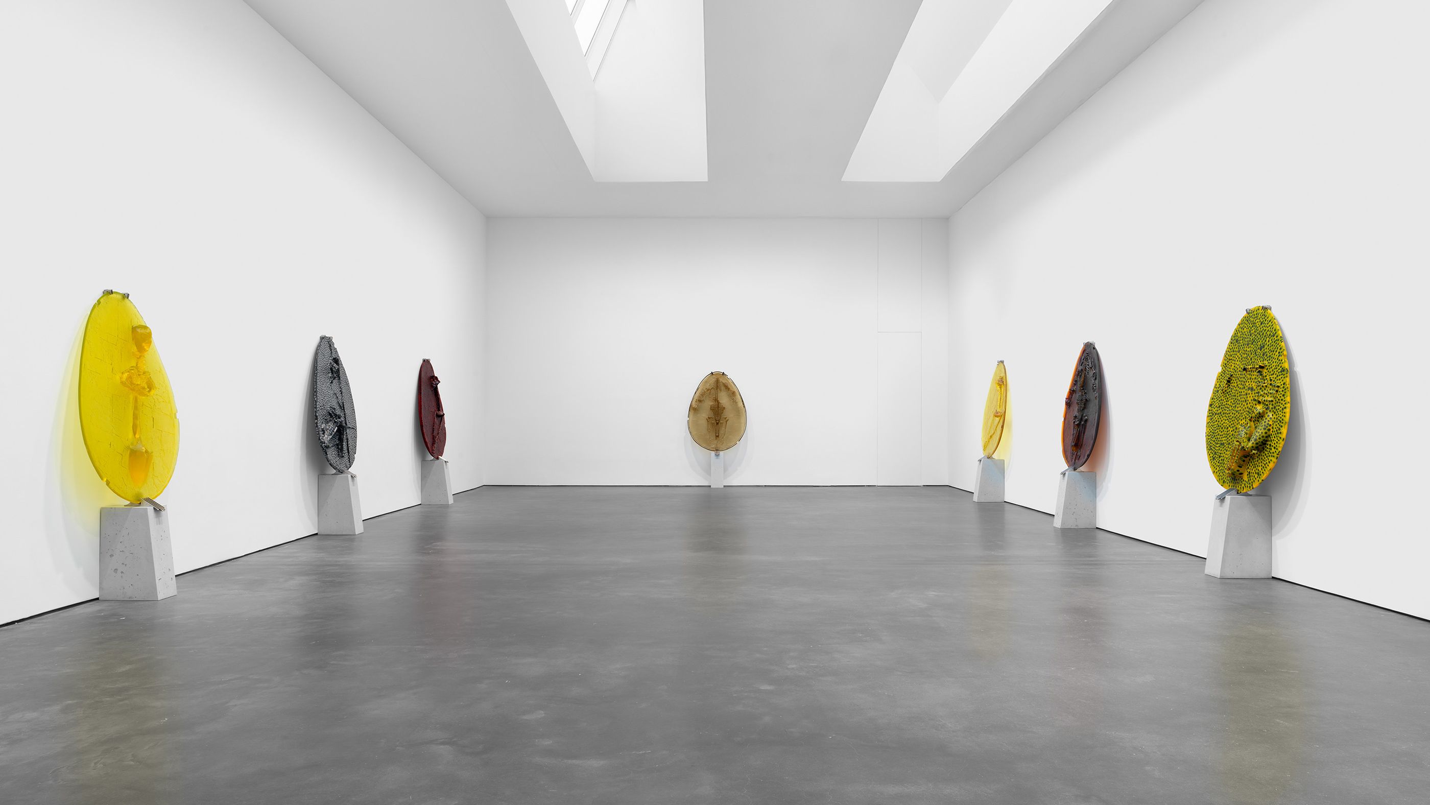 The Face of Contemporary Art/デイビット　セイドナー David Zwirner: New York, Los Angeles, London, Paris and Hong