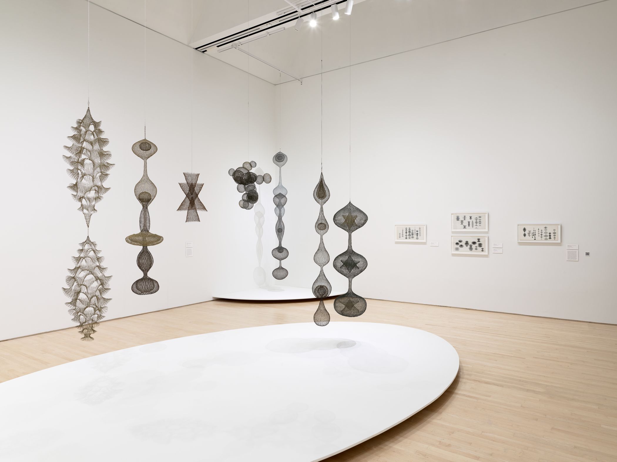 アート・デザイン・音楽 A Retrospective Of Sculpture And Drawing Ruth Asawa: Retrospective | David Zwirner