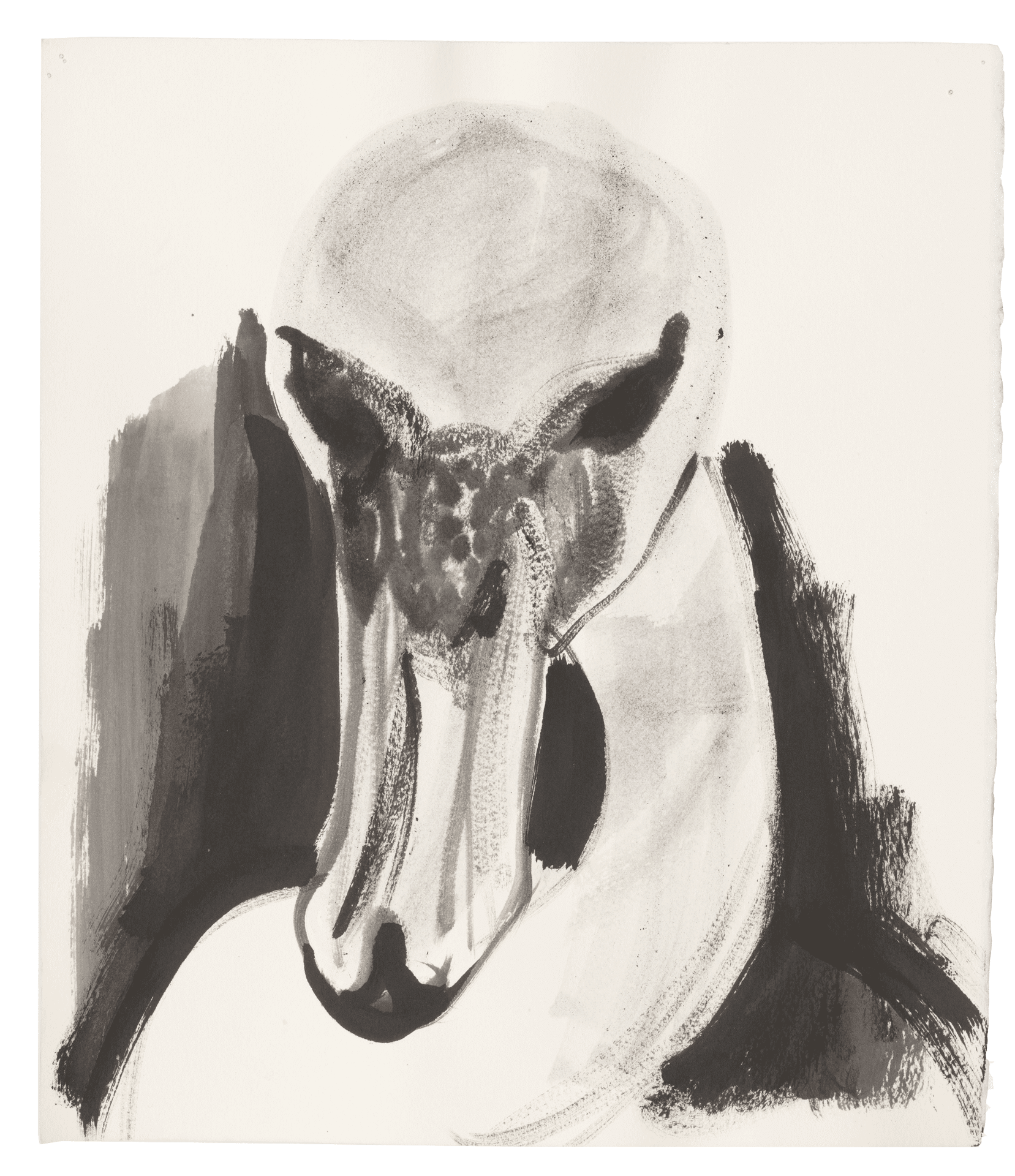 A drawing by Marlene Dumas, titled The swan (homage to Ovid), dated 2015 to 2016.