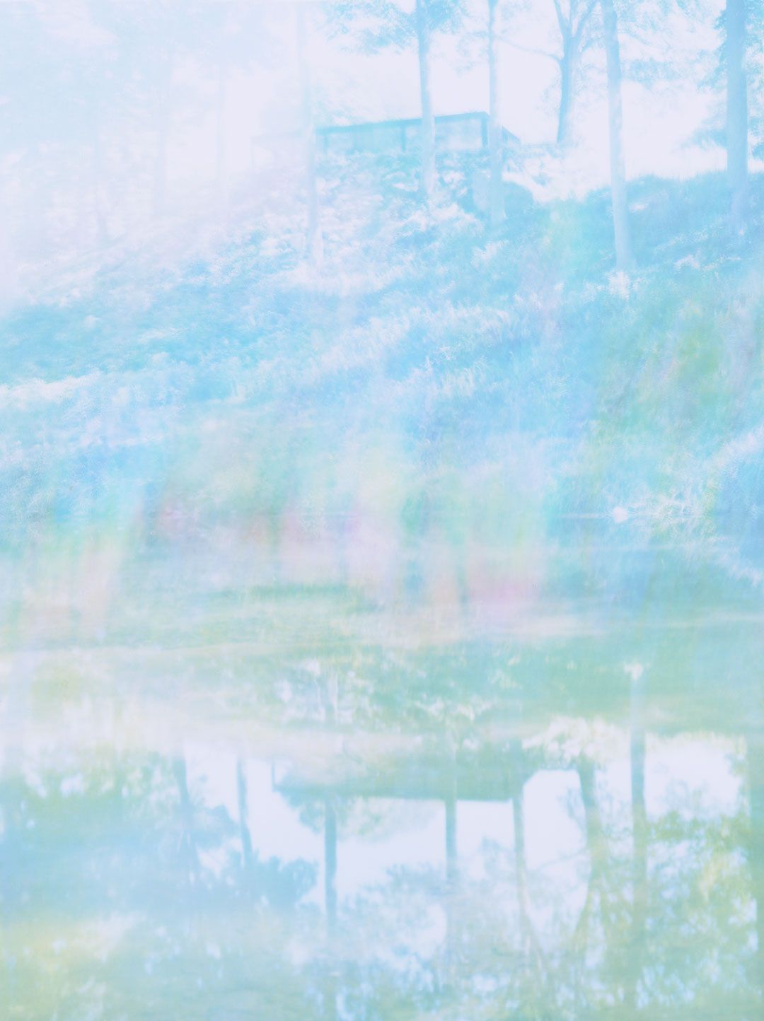 A photograph by James Welling, titled Vertical Lake, dated 2007