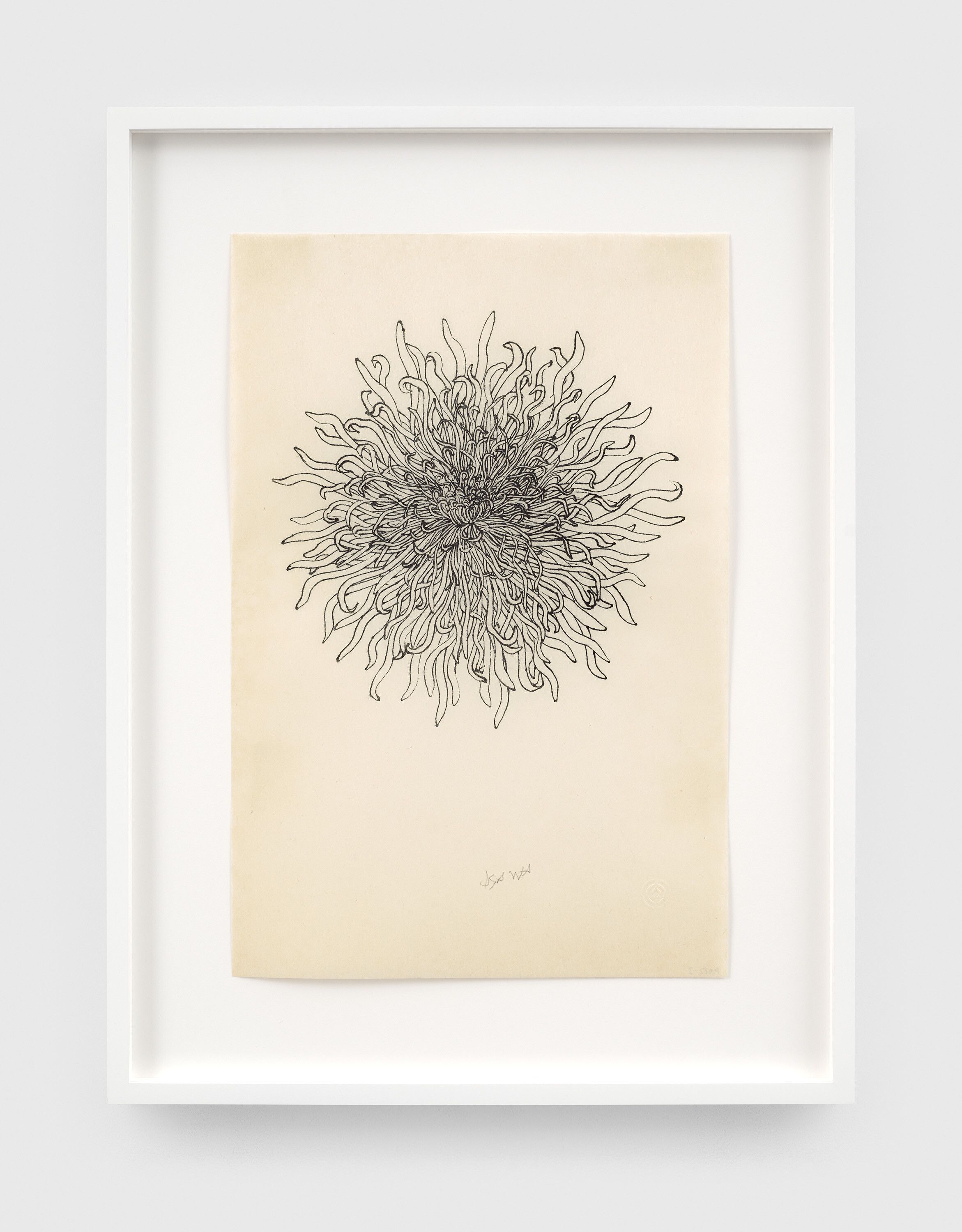 A stencil duplicate in black ink on technical paper artwork by Ruth Asawa, titled Untitled (P.022-I, Chrysanthemum), dated 1974.