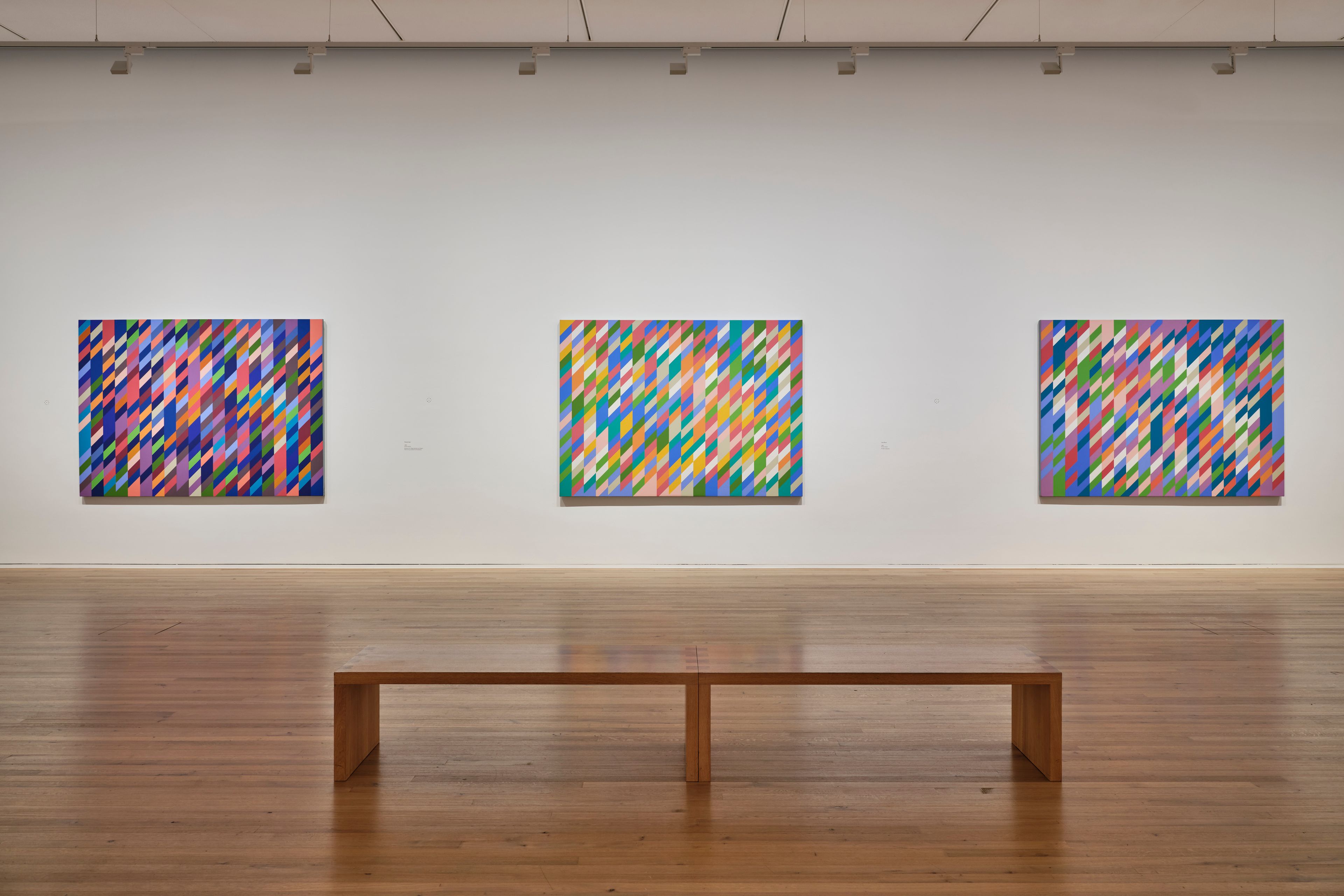 Installation view of the exhibition, Bridget Riley: Looking and Seeing, Doing and Making, at The Zentrum Paul Klee, in Bern, Switzerland, dated 2022.