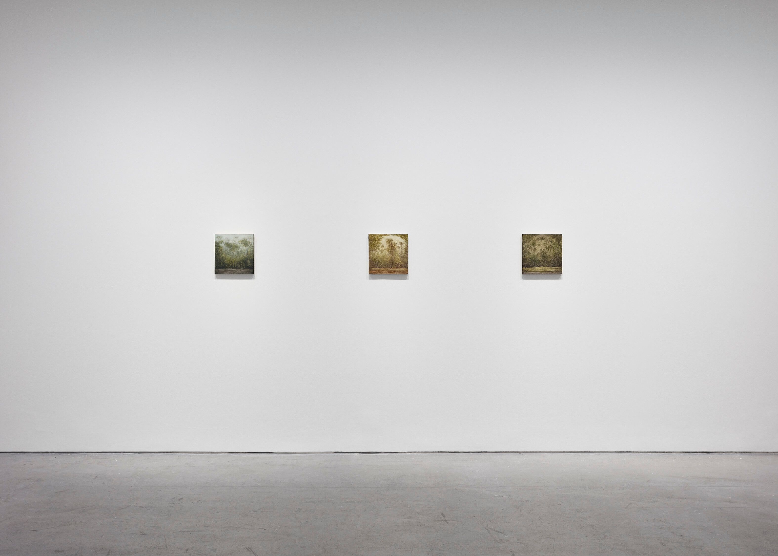An installation view of Lucas Arruda: Assum Preto, David Zwirner, Paris, dated 2022