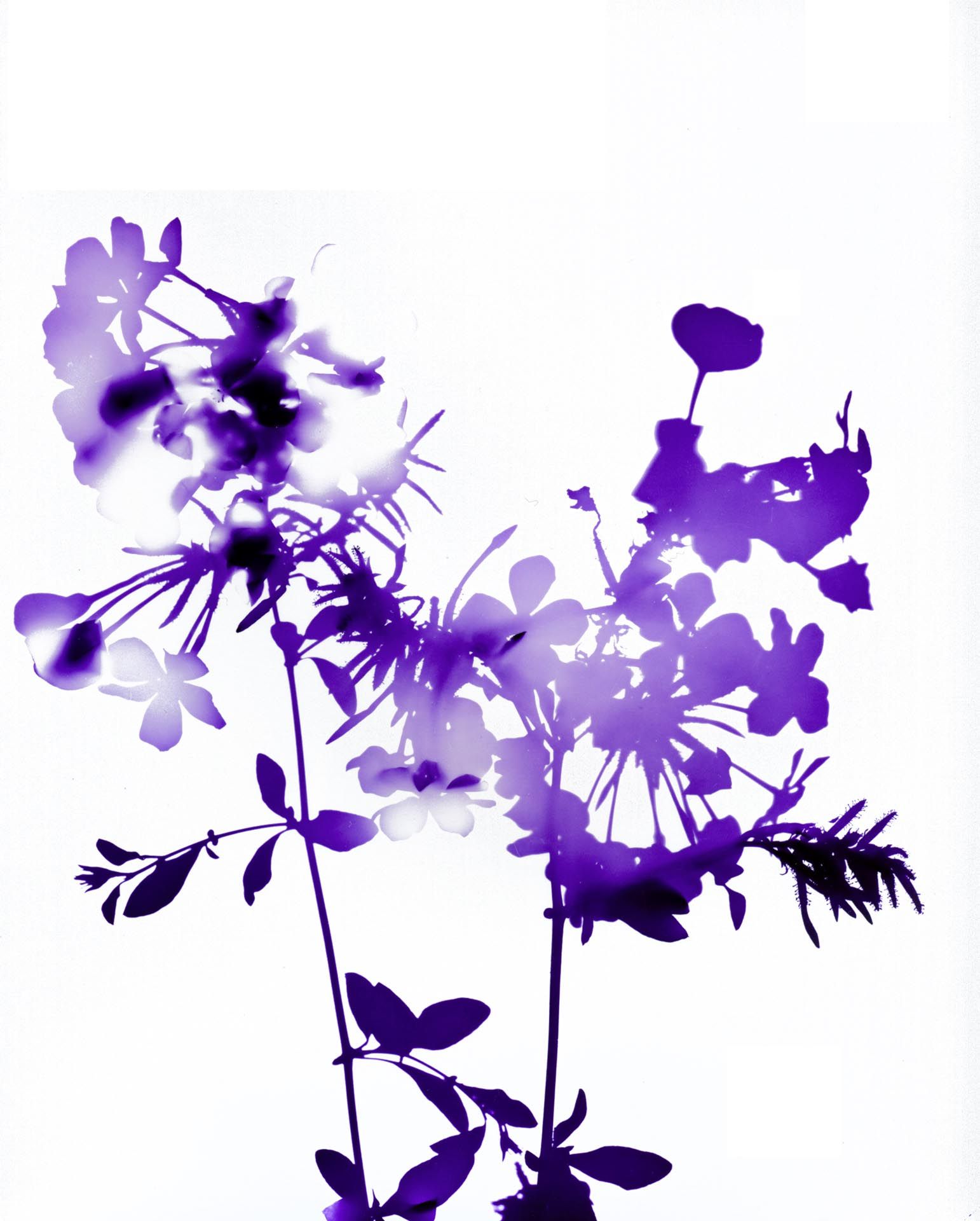 A photograph by James Welling, titled #011, dated 2004.