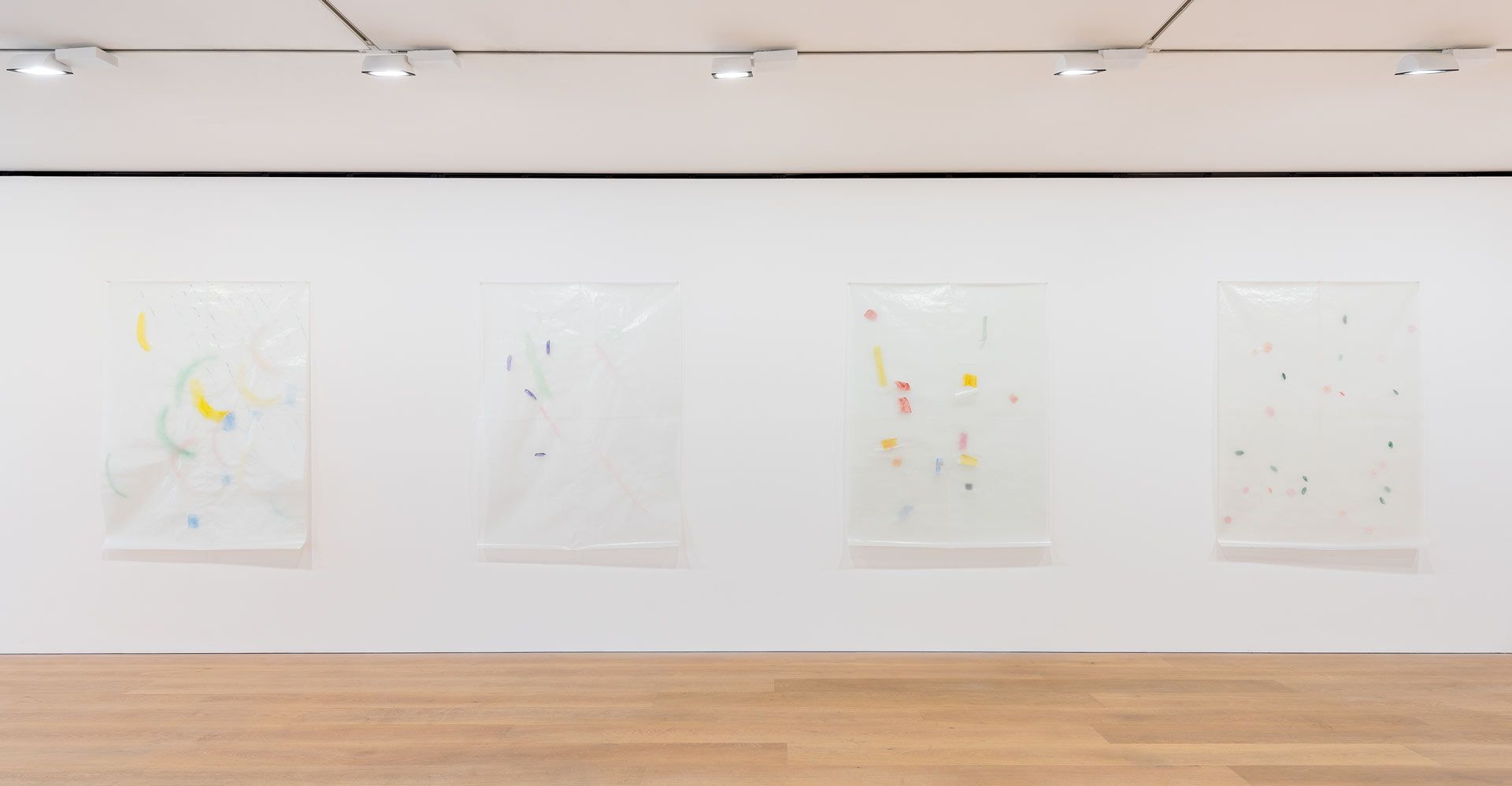 An installation view featuring works by Guy Mees, dated 2017