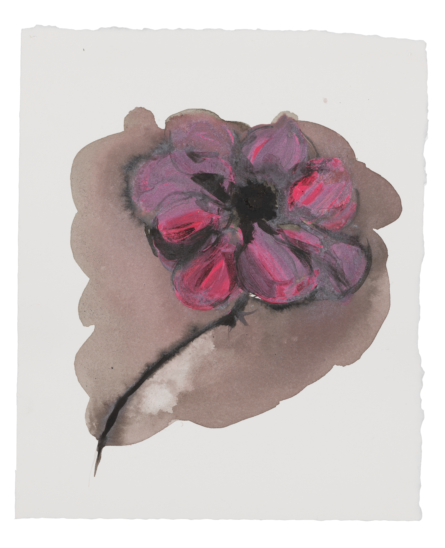 A drawing by Marlene Dumas, titled The flower, dated 2015 to 2016.