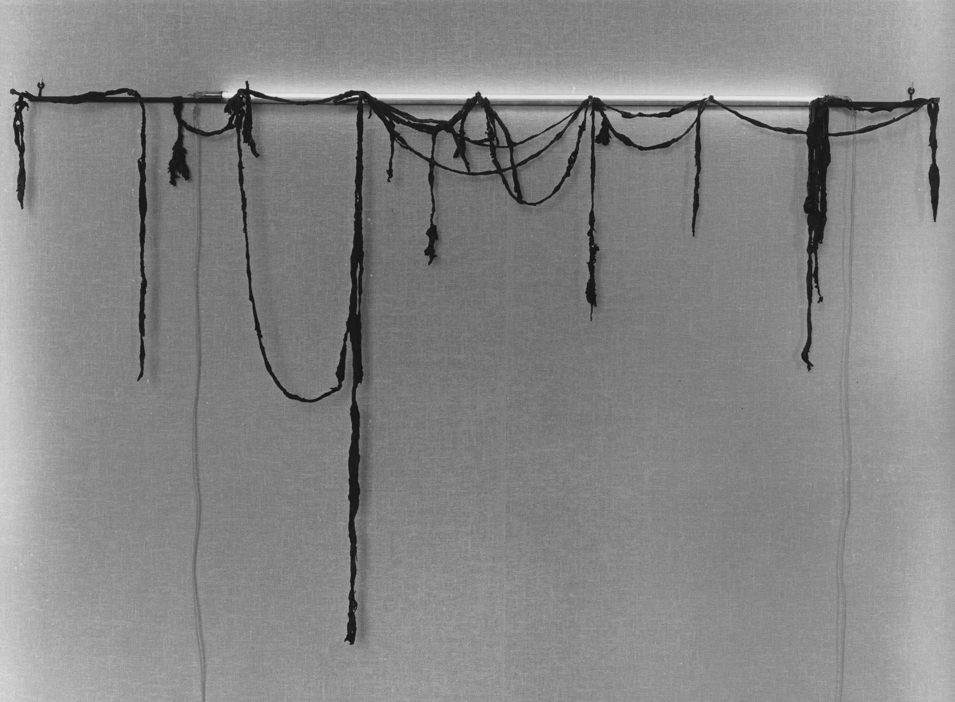 An untitled rubber and neon tubing sculpture, dated 1966.