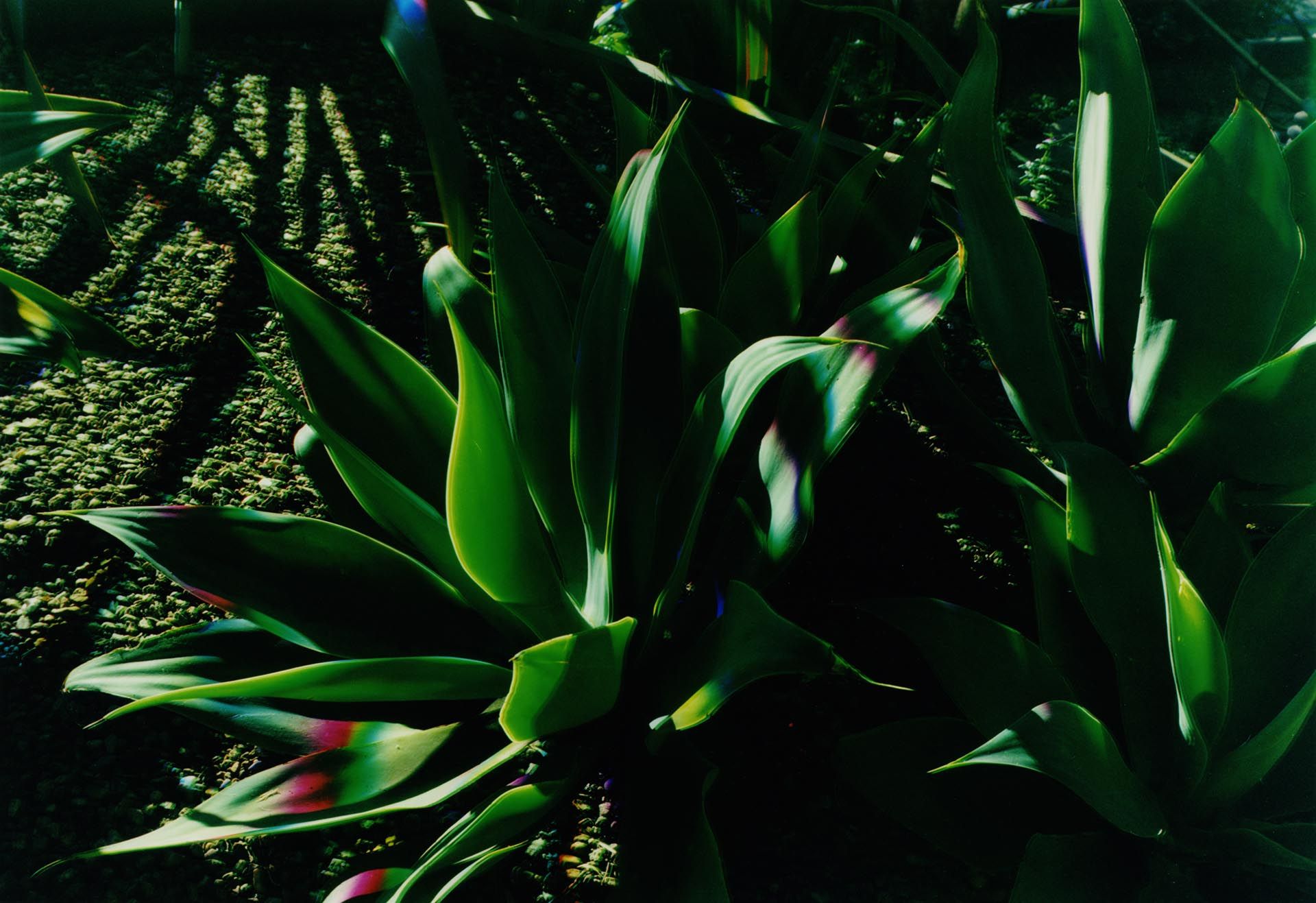 A photograph by James Welling, titled H6, dated 2006. 